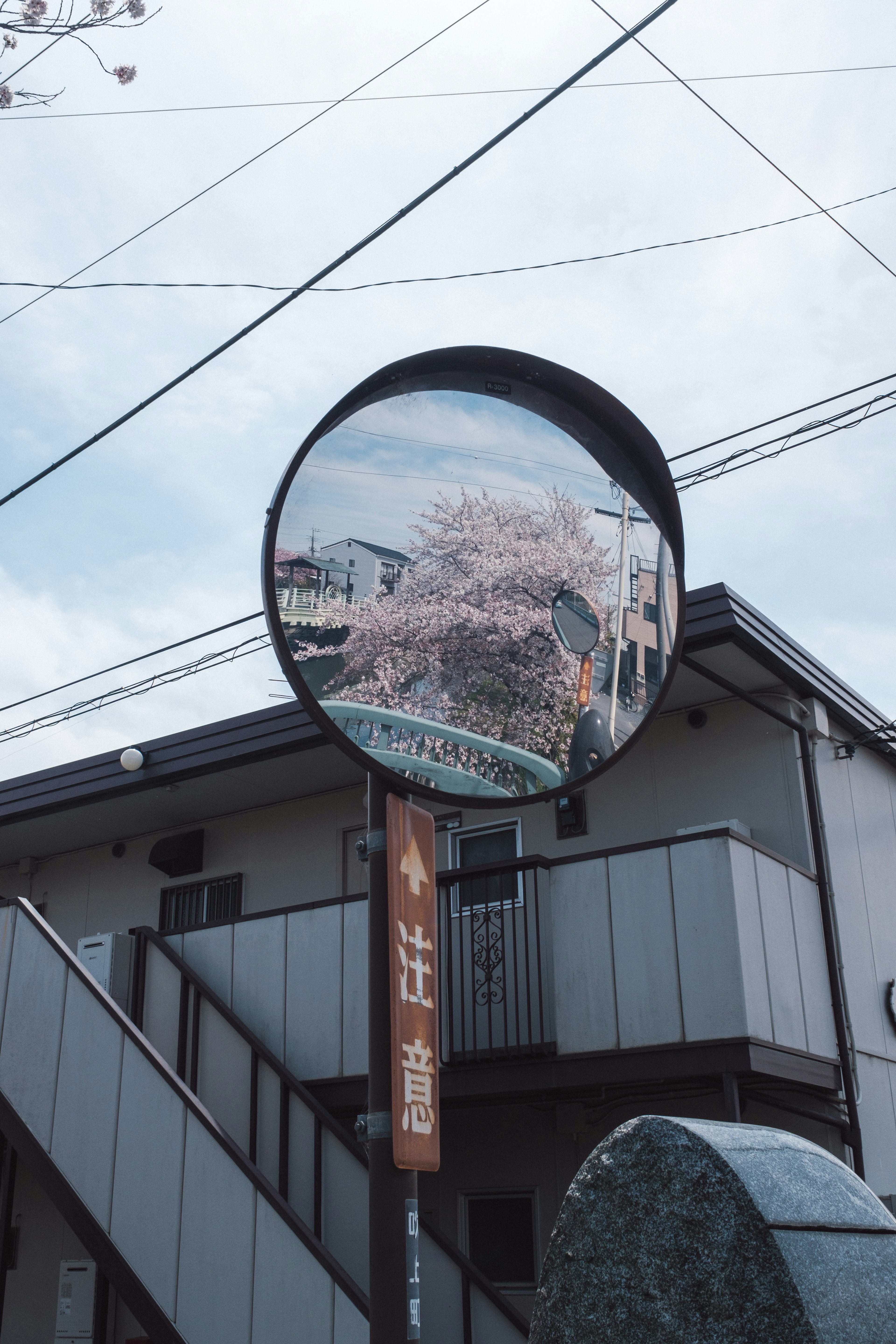 Round mirror reflecting cherry blossoms and apartment building