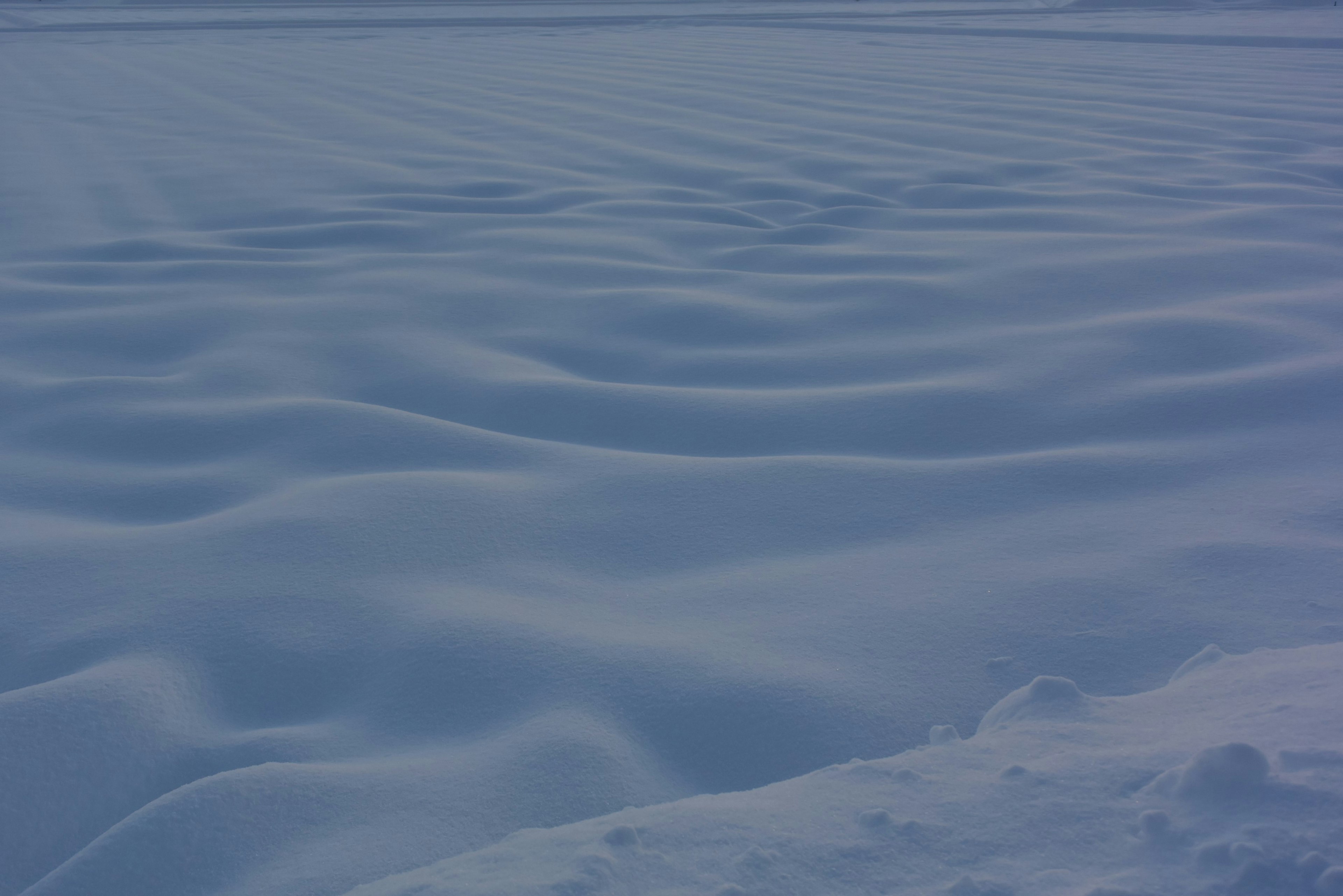 青い雪の波模様が広がる風景