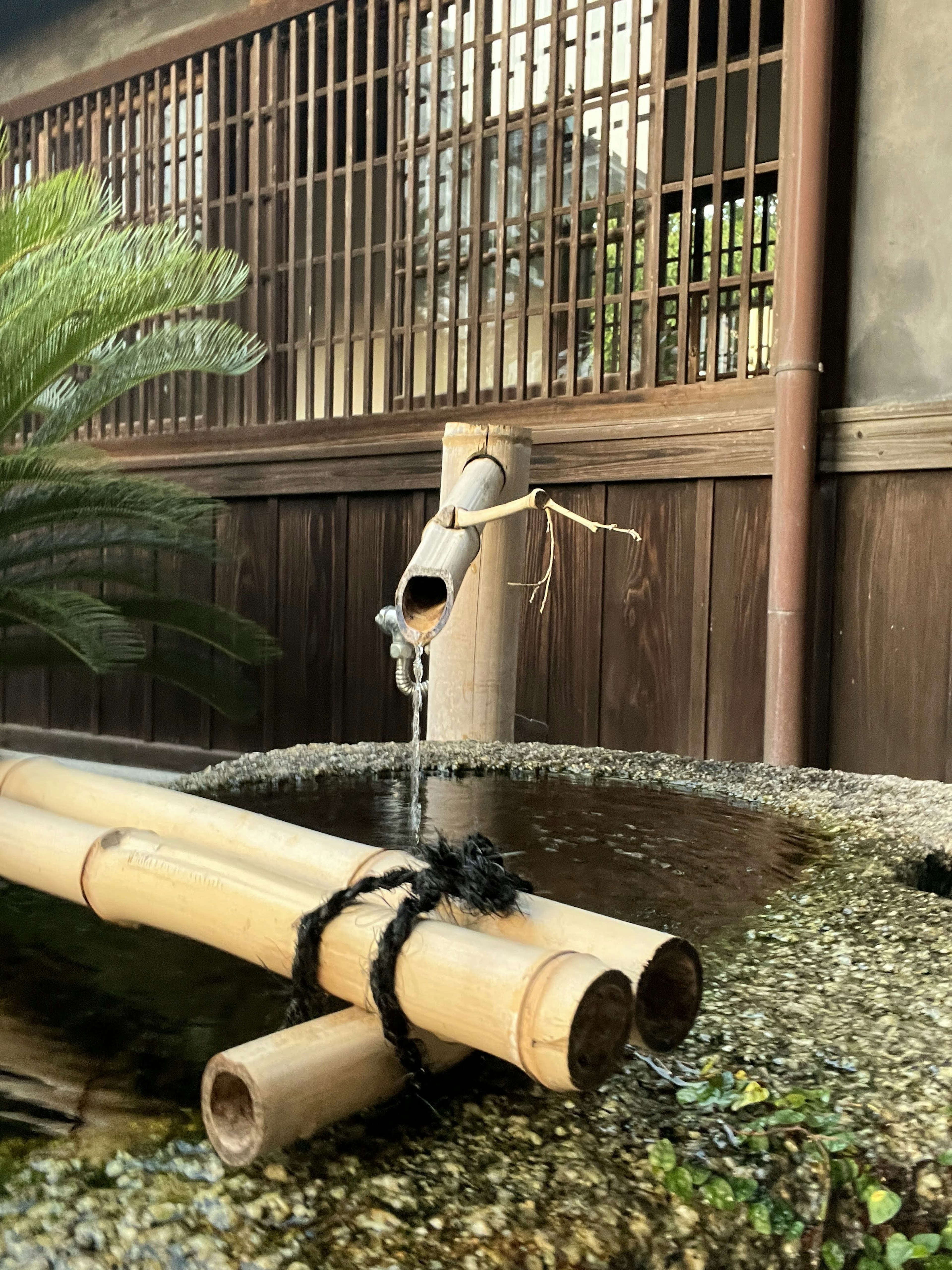 Fontaine en bambou dans un jardin tranquille