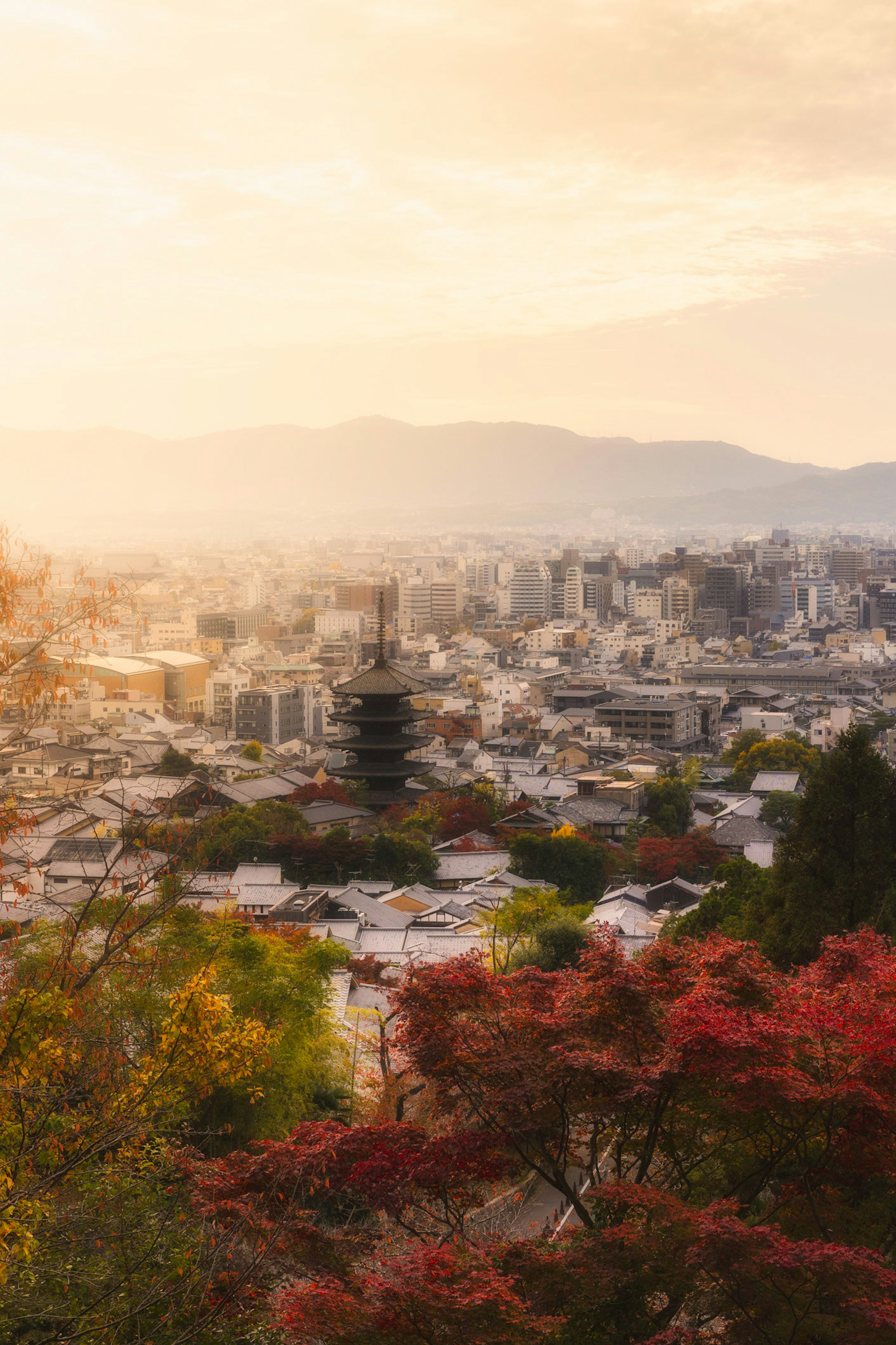 夕日の中の京都の街並みと紅葉した木々