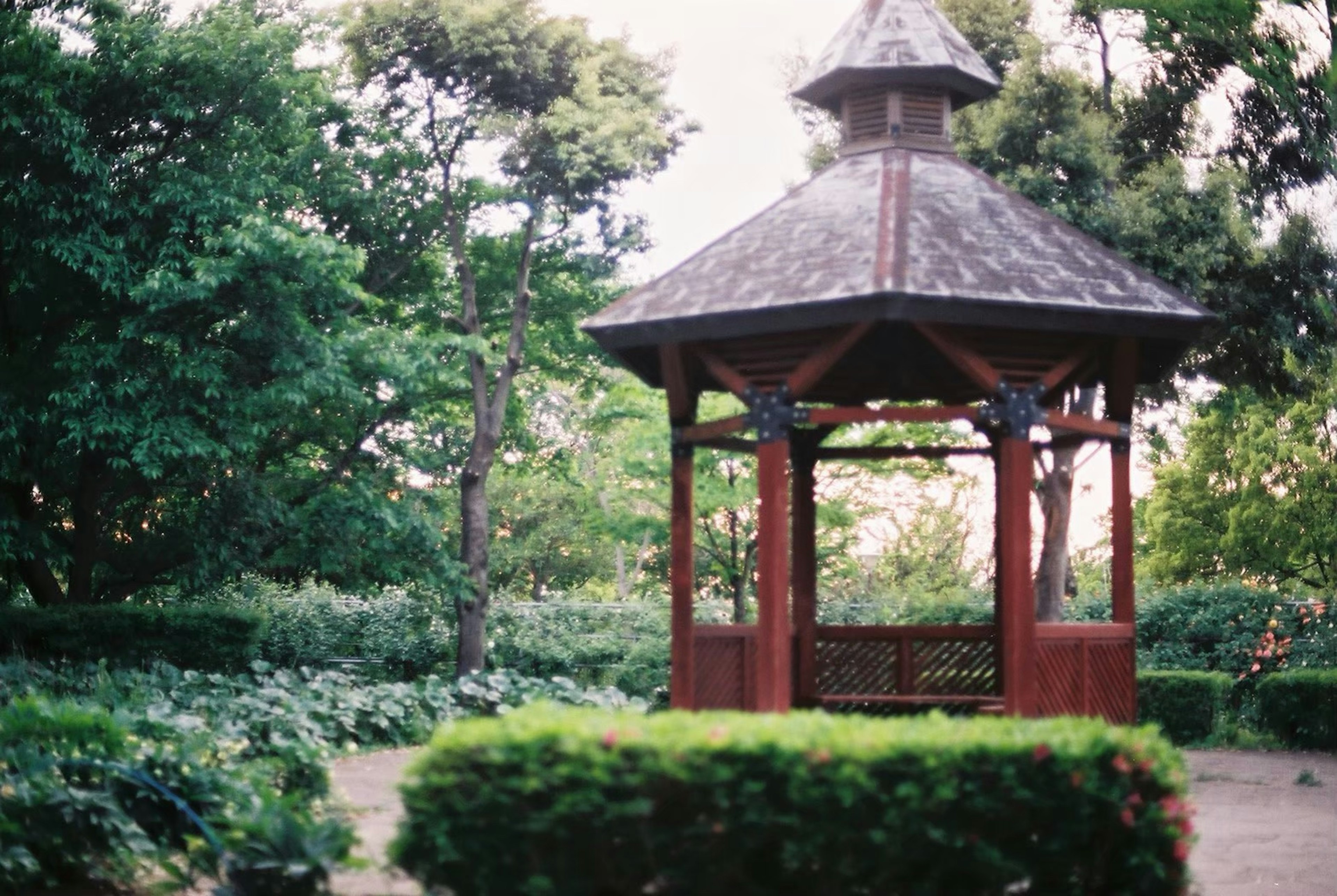 Gazebo in legno in un parco verdeggiante