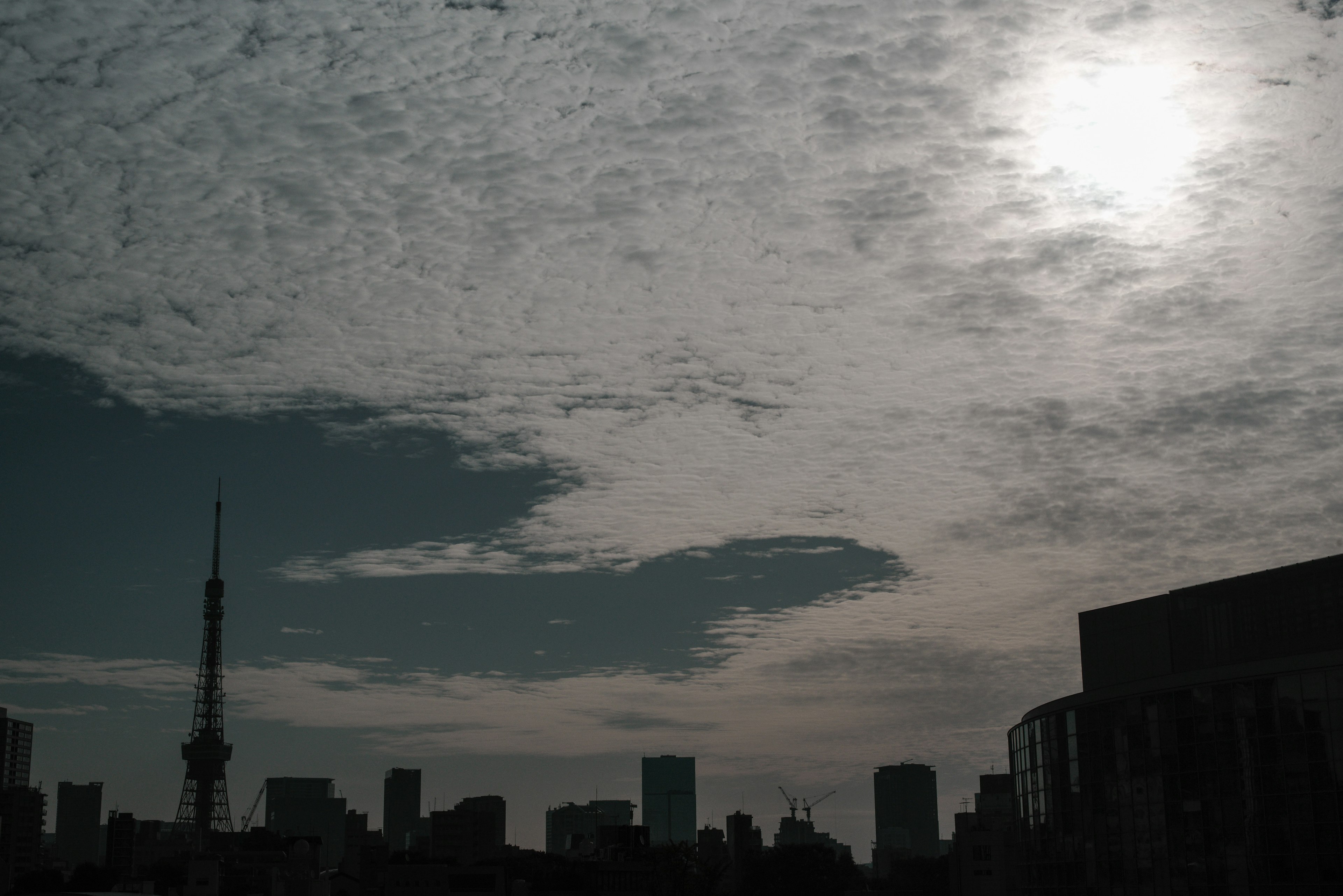 東京のシルエットと曇り空の風景