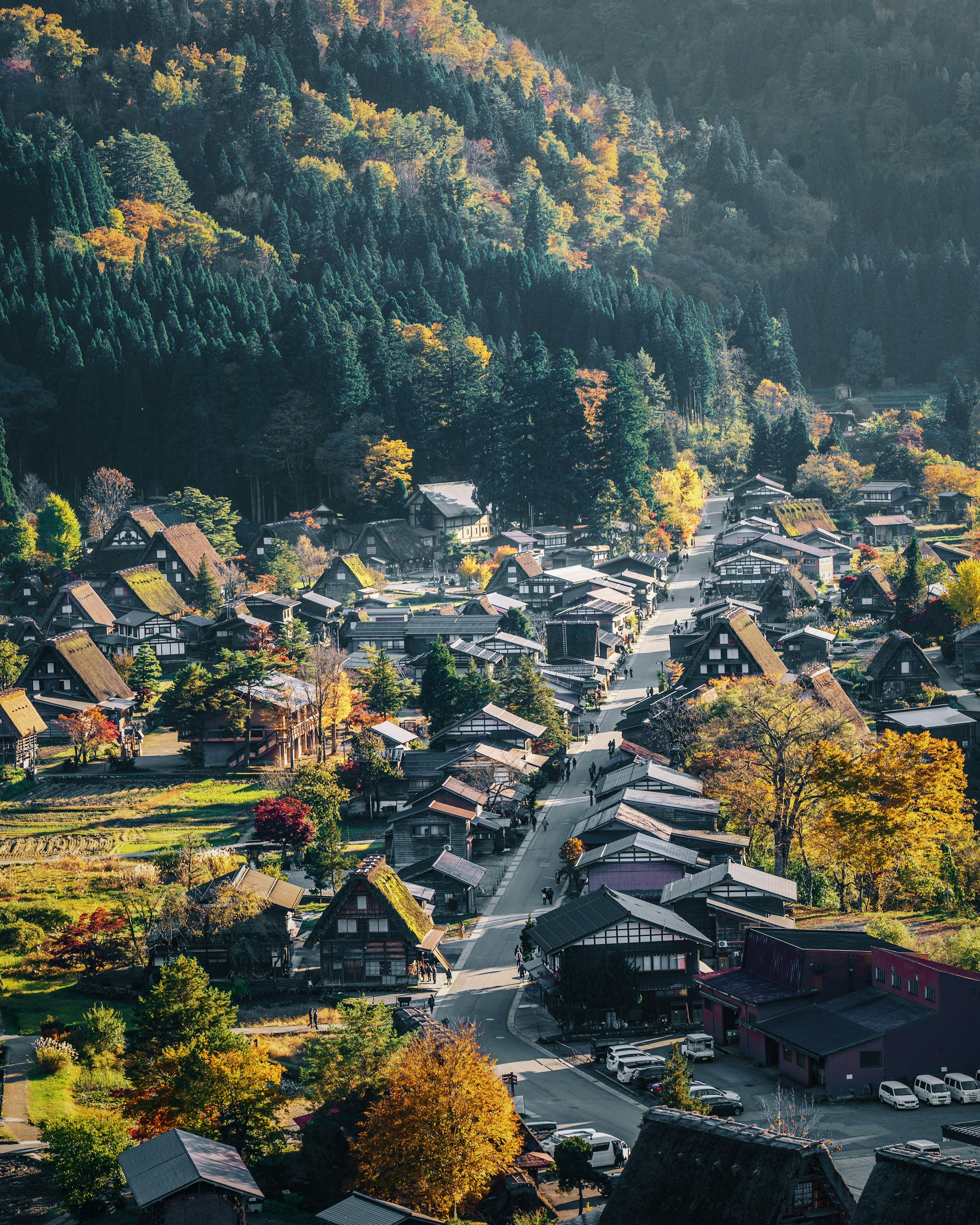 秋の色彩に包まれた山間の集落の空撮風景