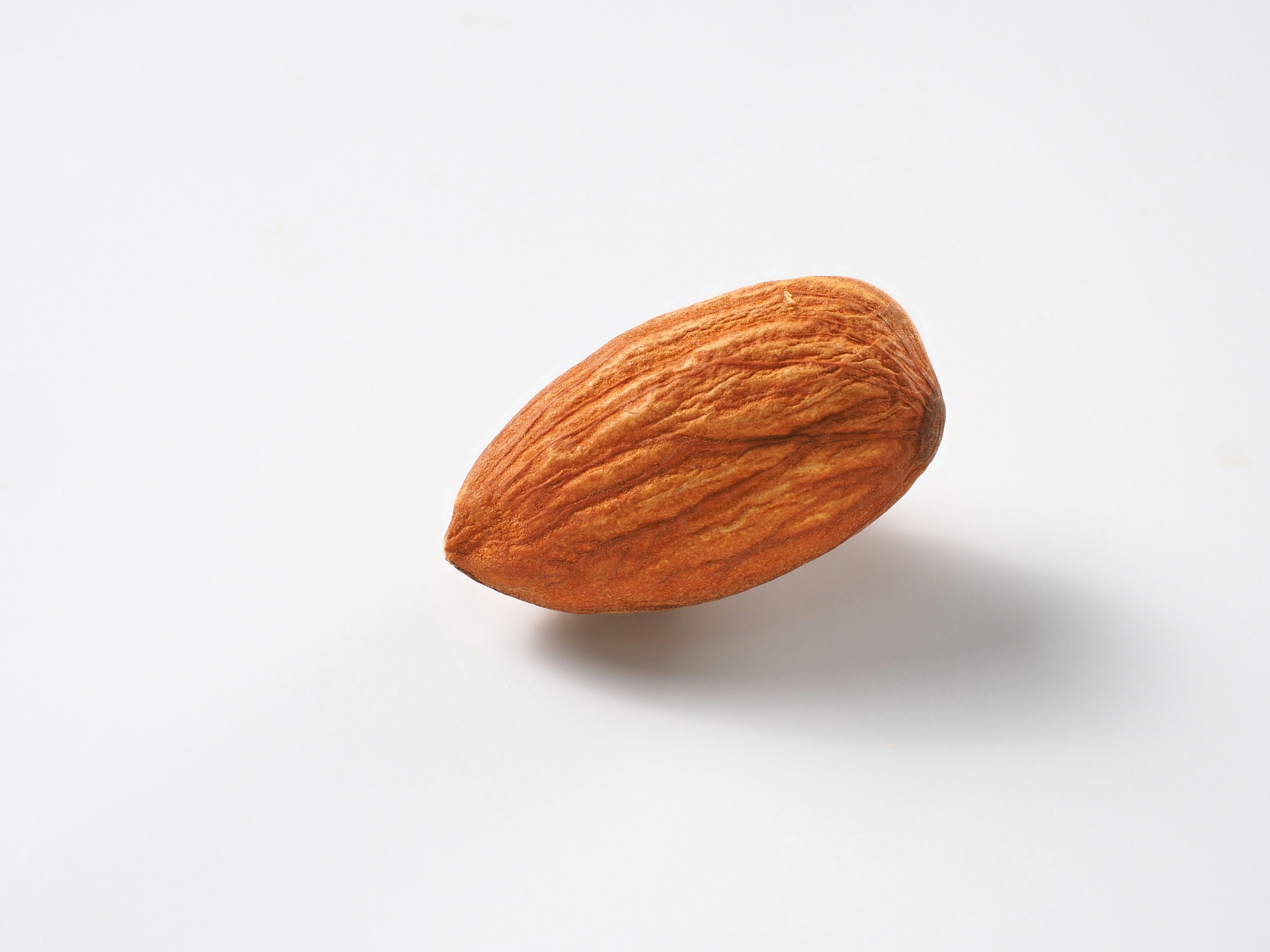 A single almond on a white background