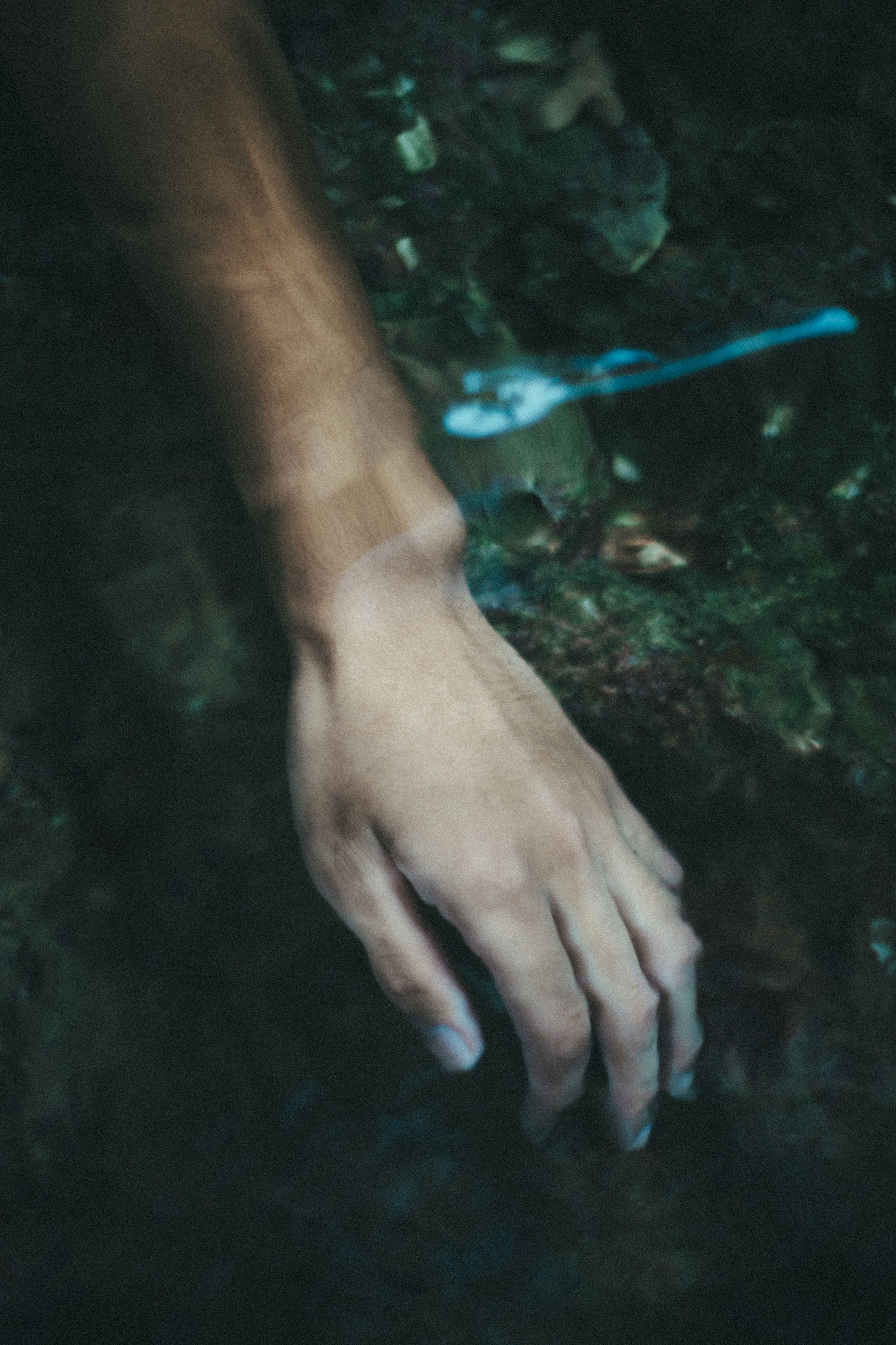 Immagine di una mano che si estende nell'acqua evocando tranquillità nella natura