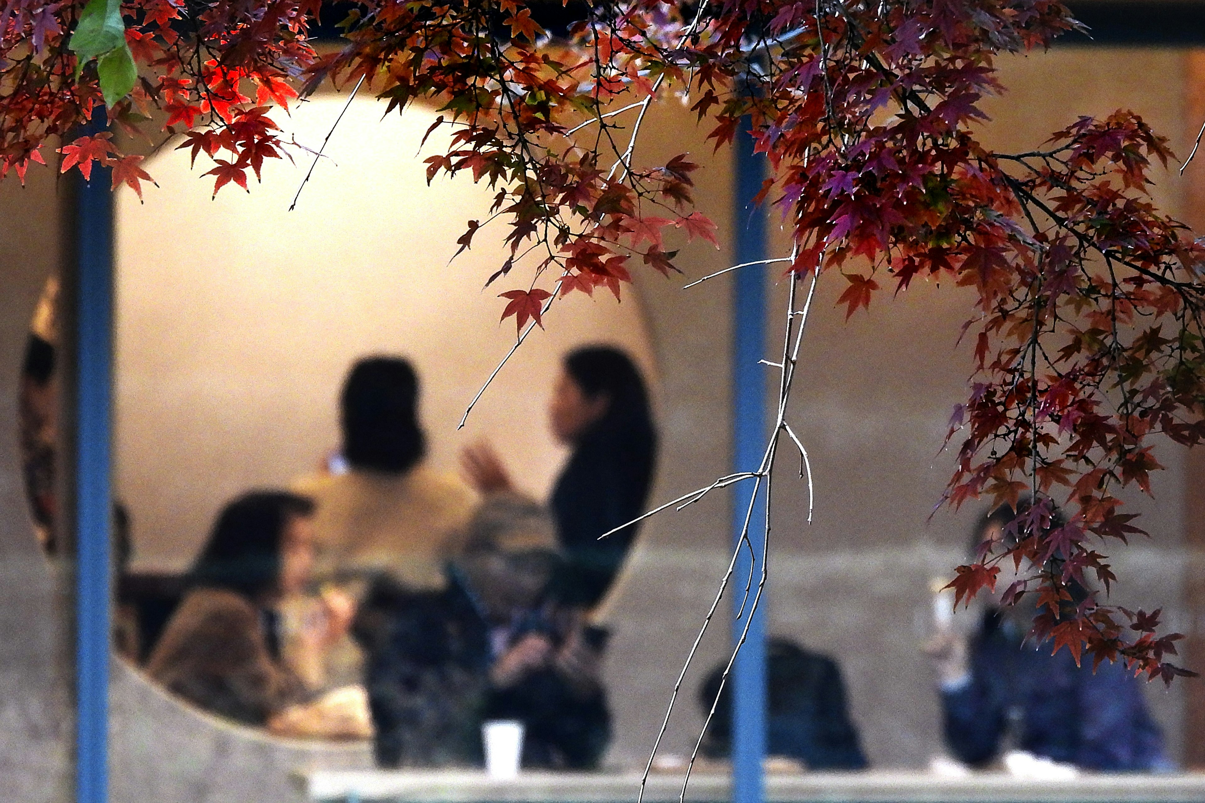 Vista a través de una ventana de café con hojas de otoño y personas conversando