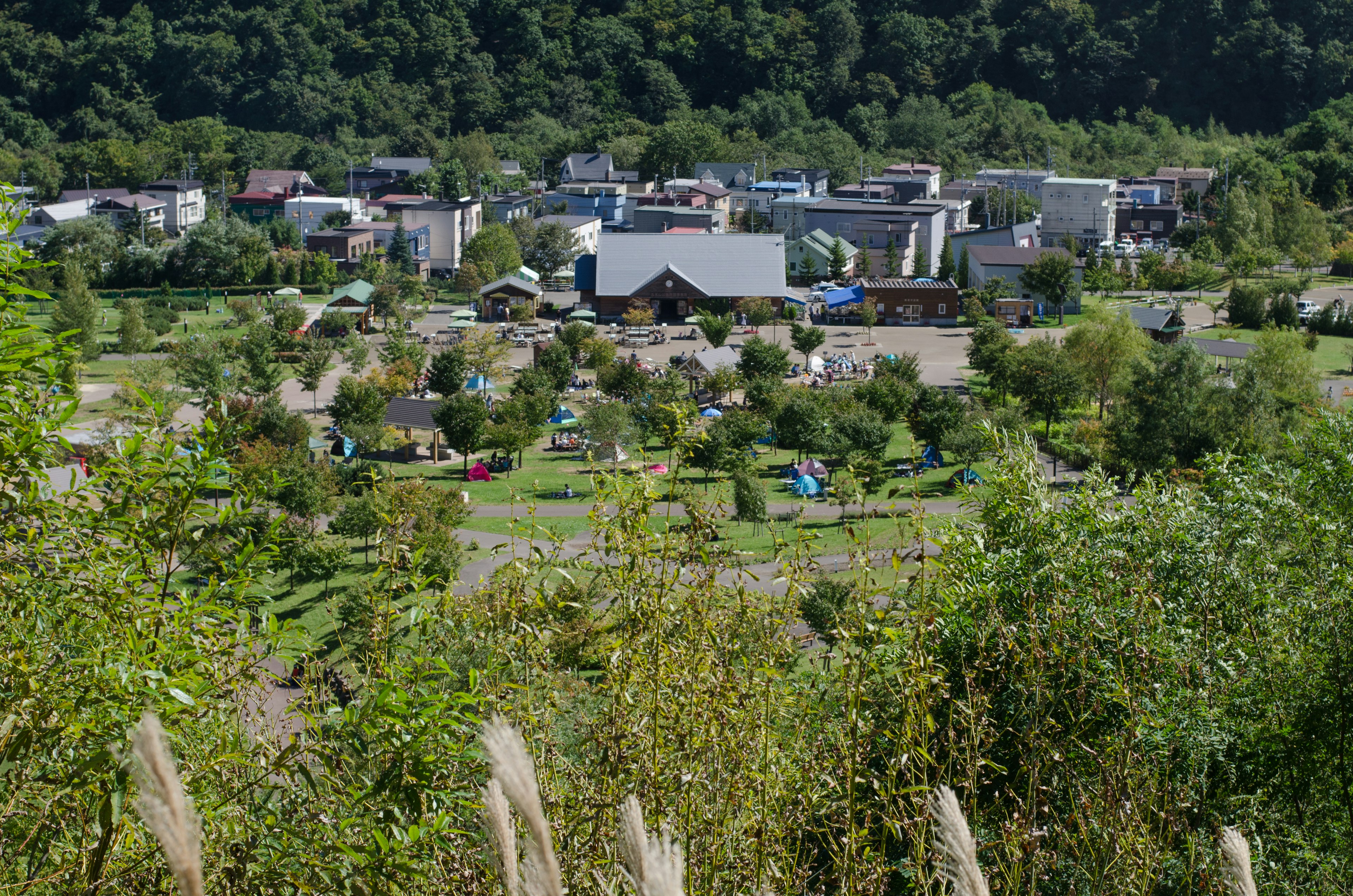 Un camping y una zona residencial en un paisaje verde