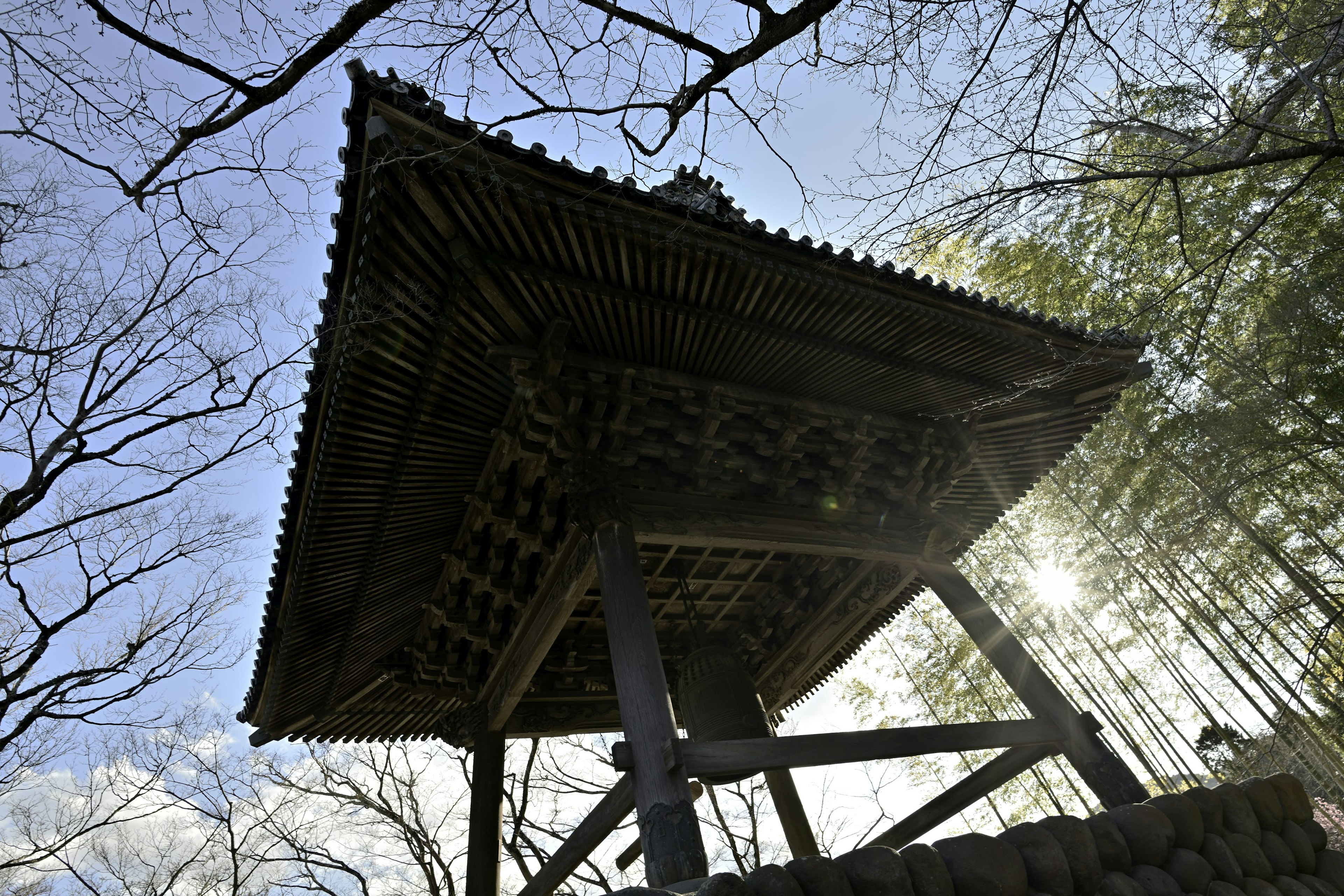 从下方看木制寺庙屋顶，背景有树木