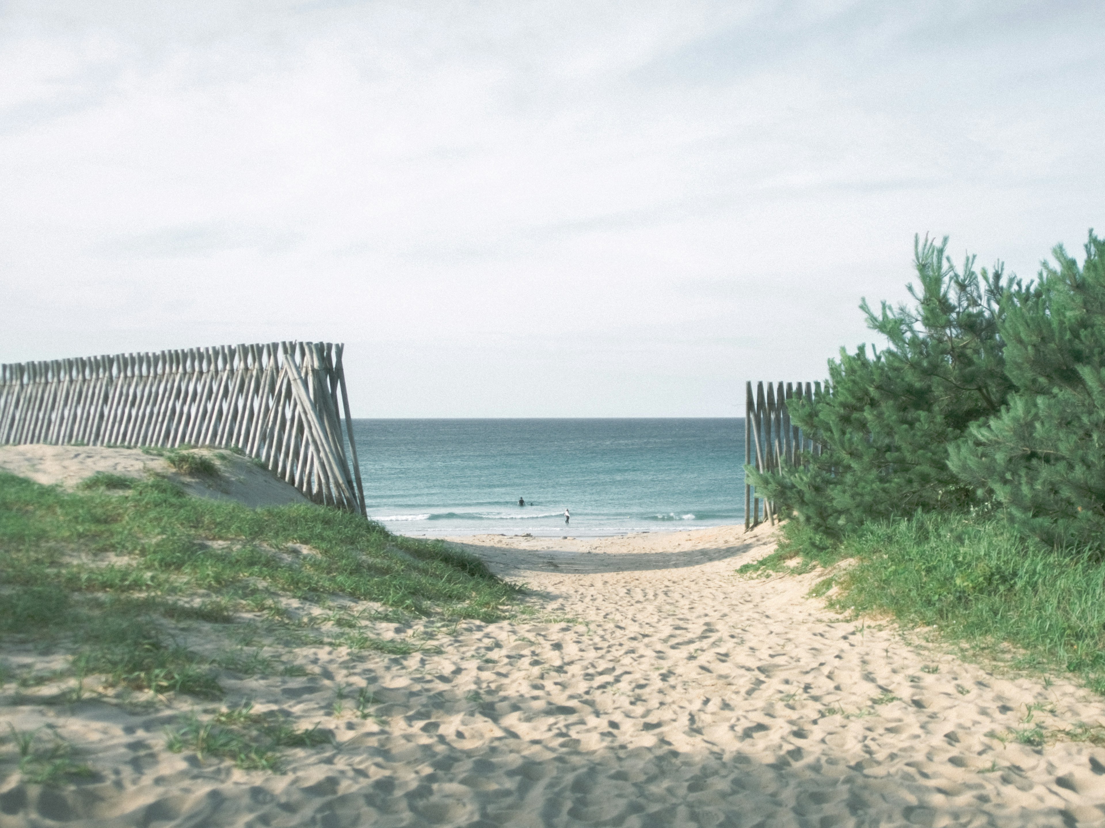 Chemin menant à la plage avec une clôture en bois et de la végétation verte