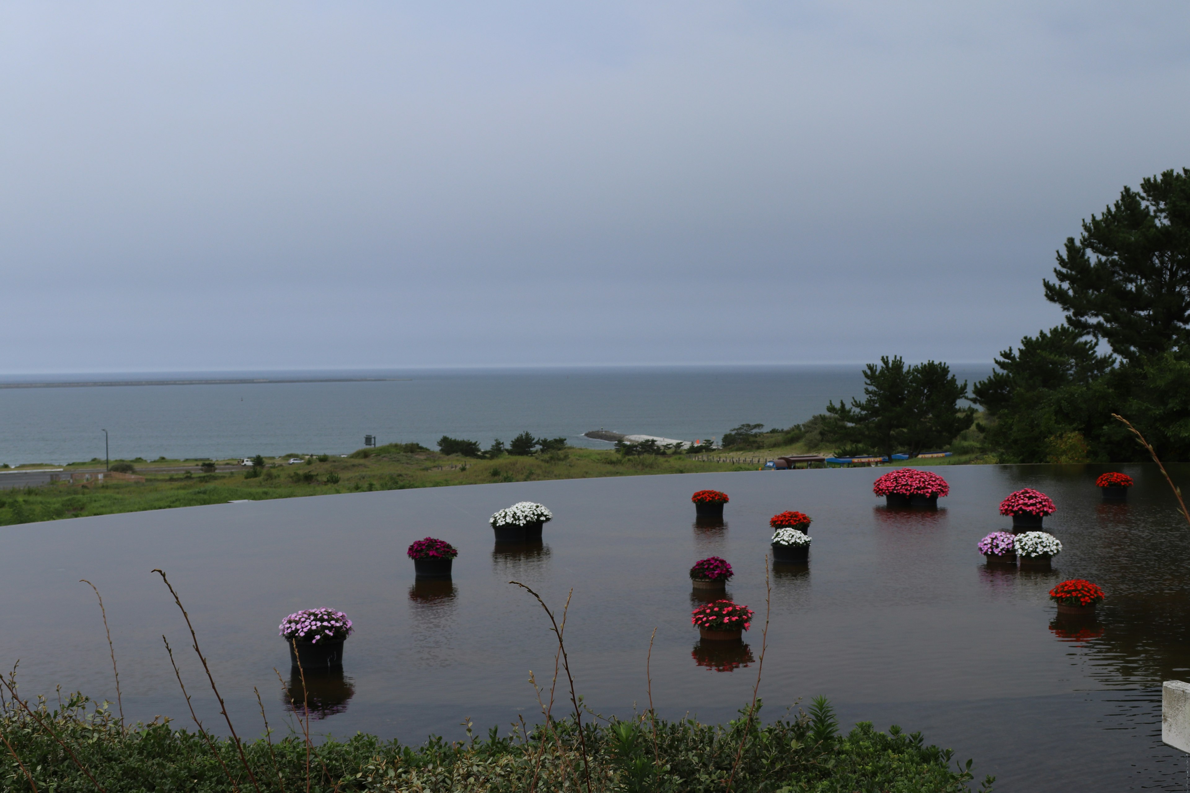 Landscape with flower pots floating on water facing the sea