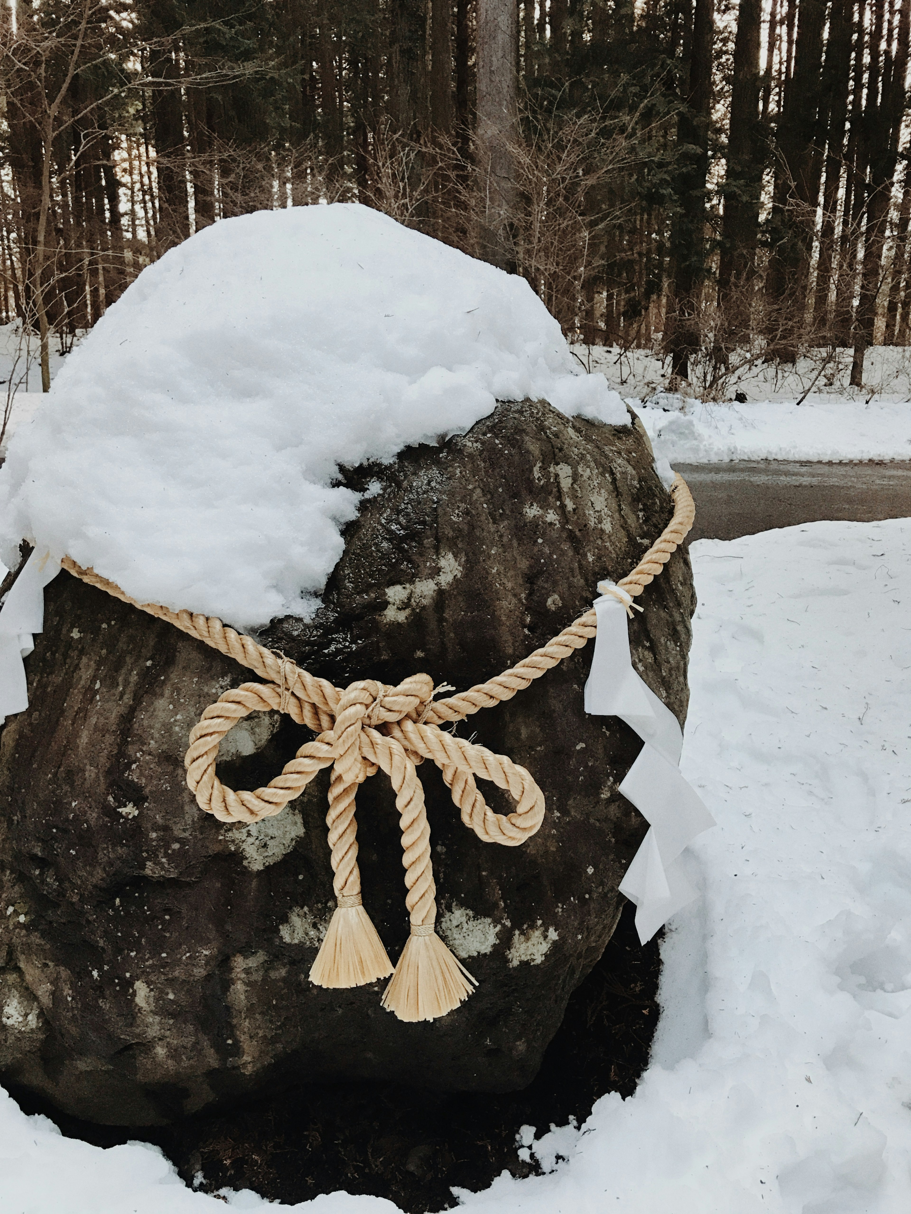 Decorative rope tied around a snow-covered rock