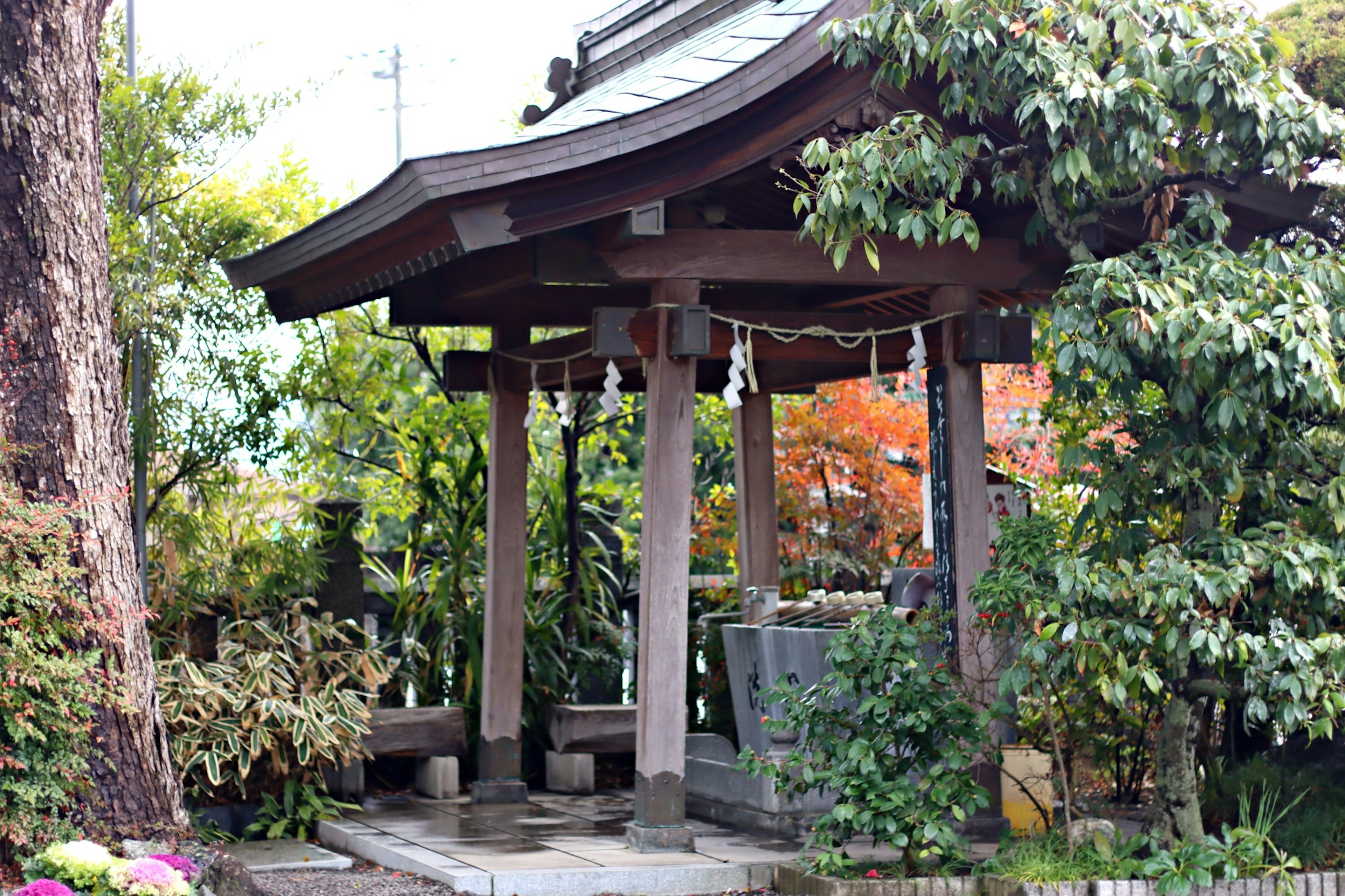 Traditional Japanese shrine entrance with lush greenery