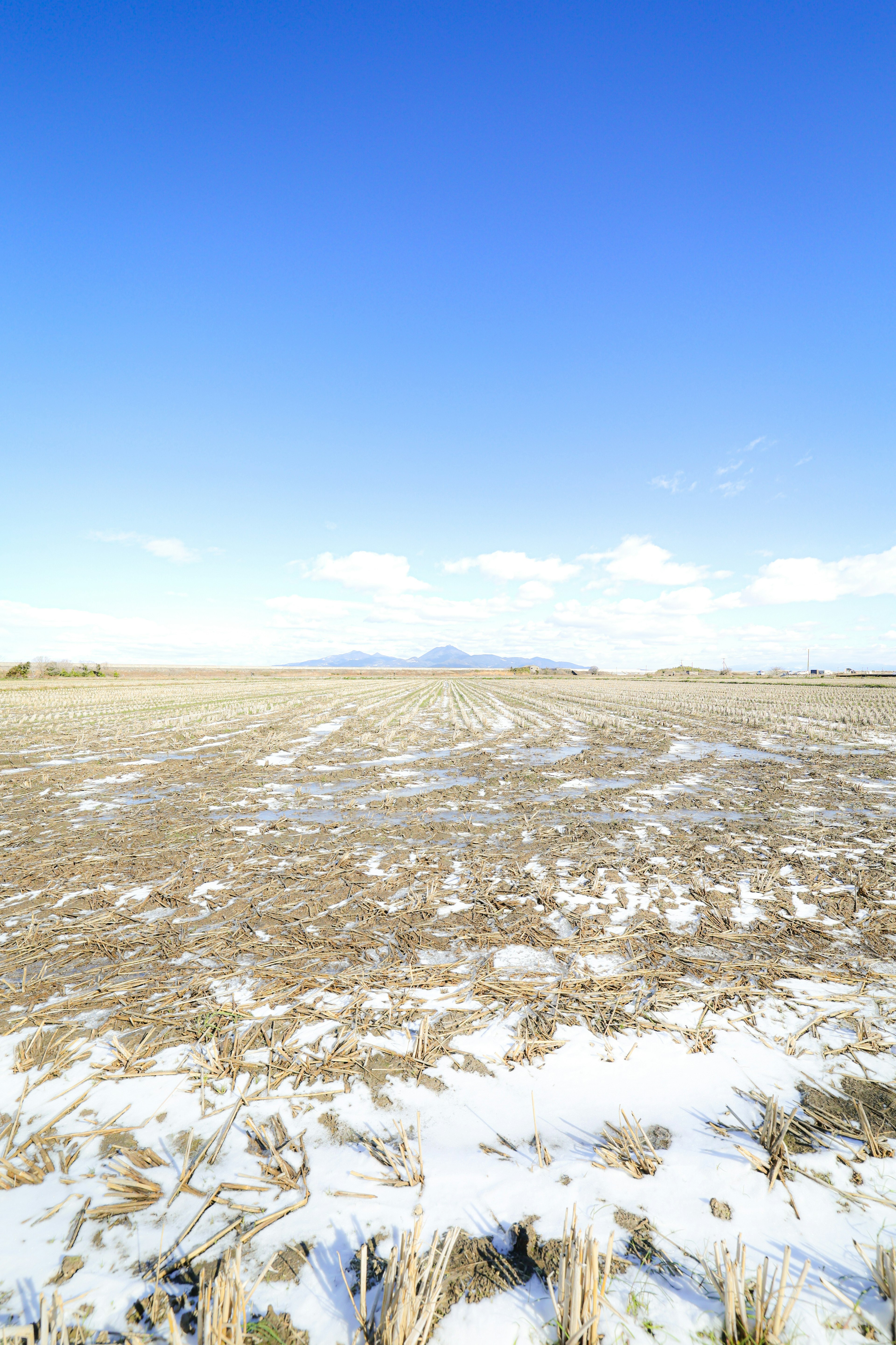 Expansive agricultural landscape with snow and clear blue sky