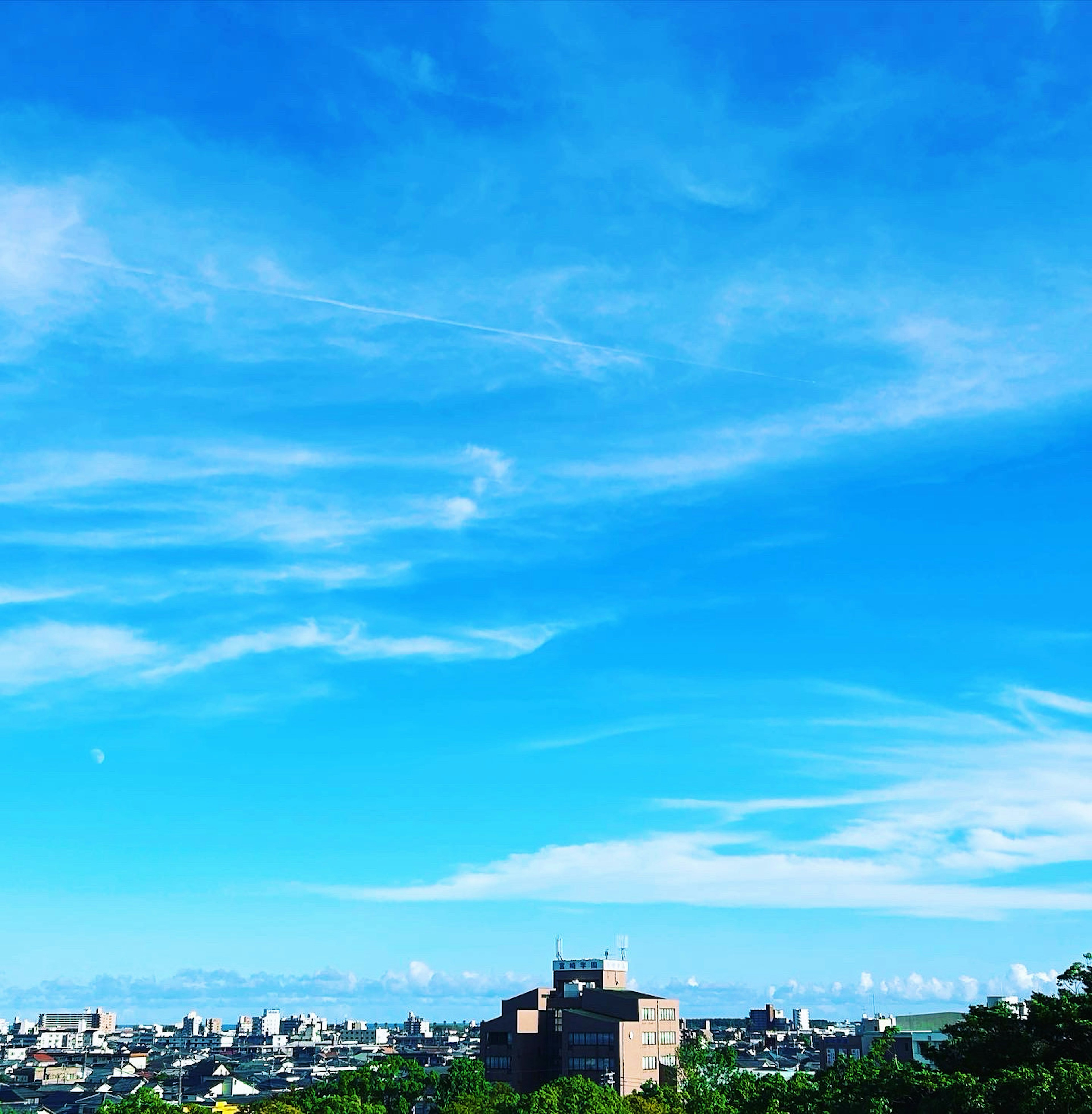 青い空と白い雲が広がる風景に、都市の建物が見える