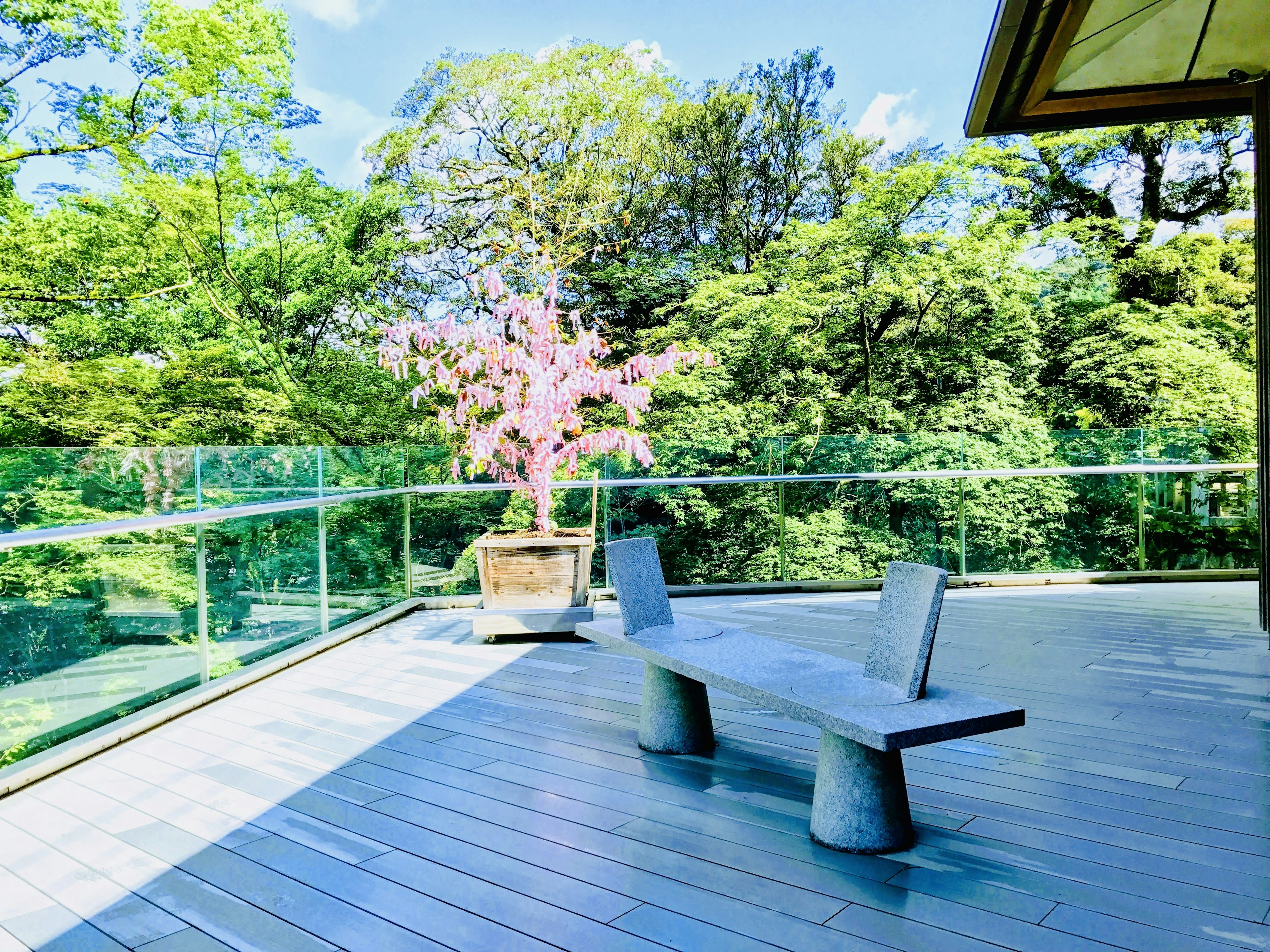 Banc moderne sur un balcon spacieux avec un cerisier en fleurs rose et une végétation luxuriante