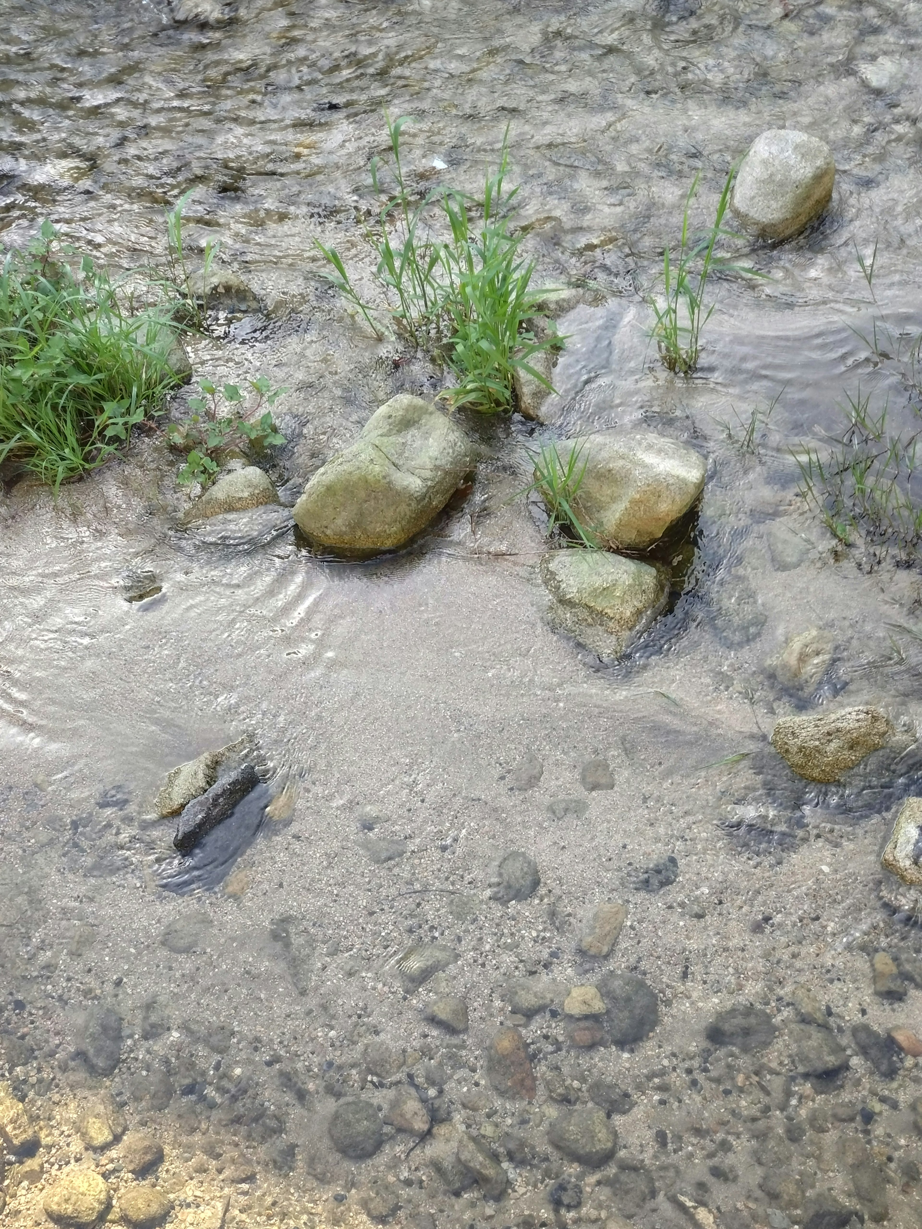 Pemandangan batu dan rumput di tepi air