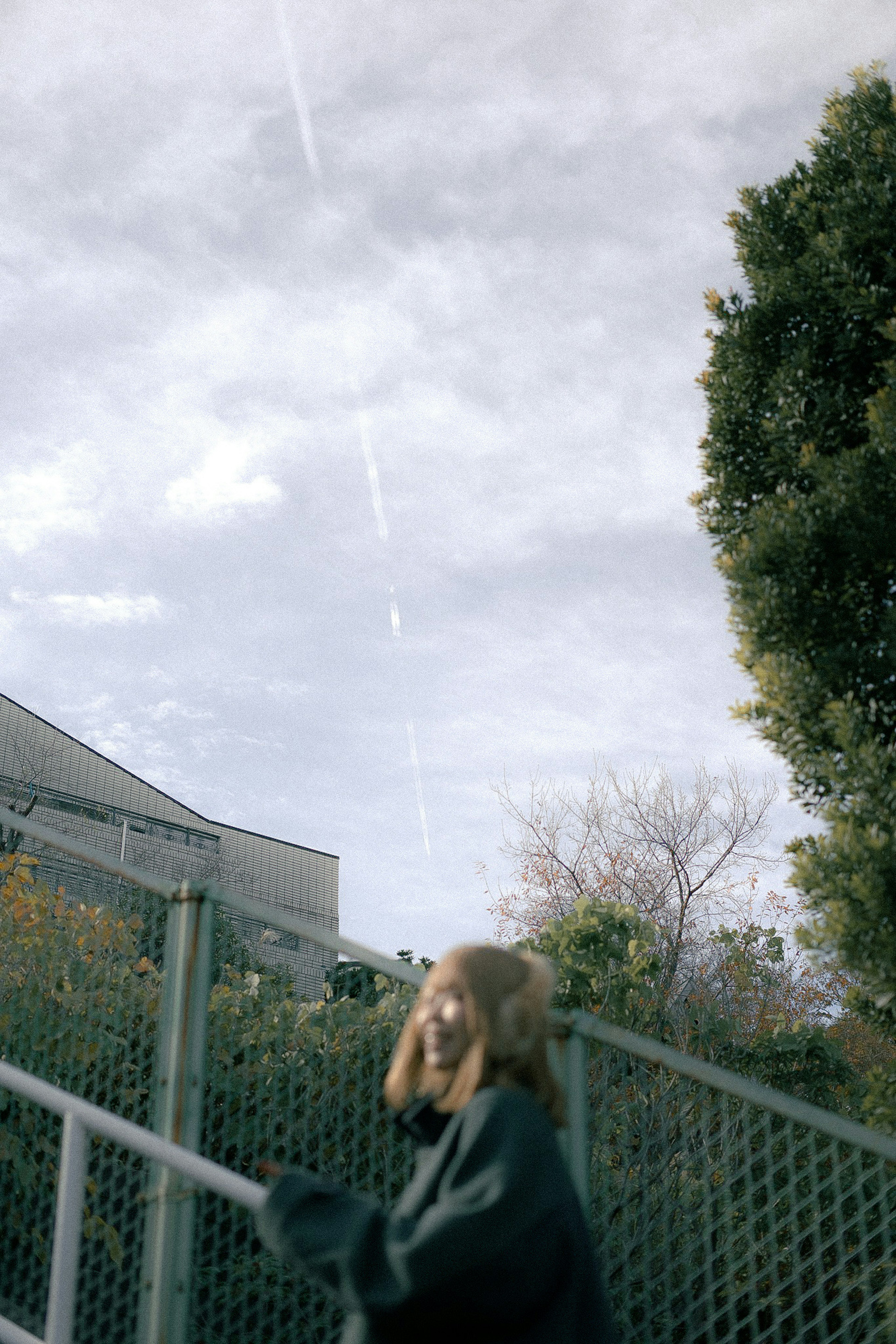 Eine Frau, die eine Treppe hinaufgeht, mit einem bewölkten Himmel und Bäumen im Hintergrund