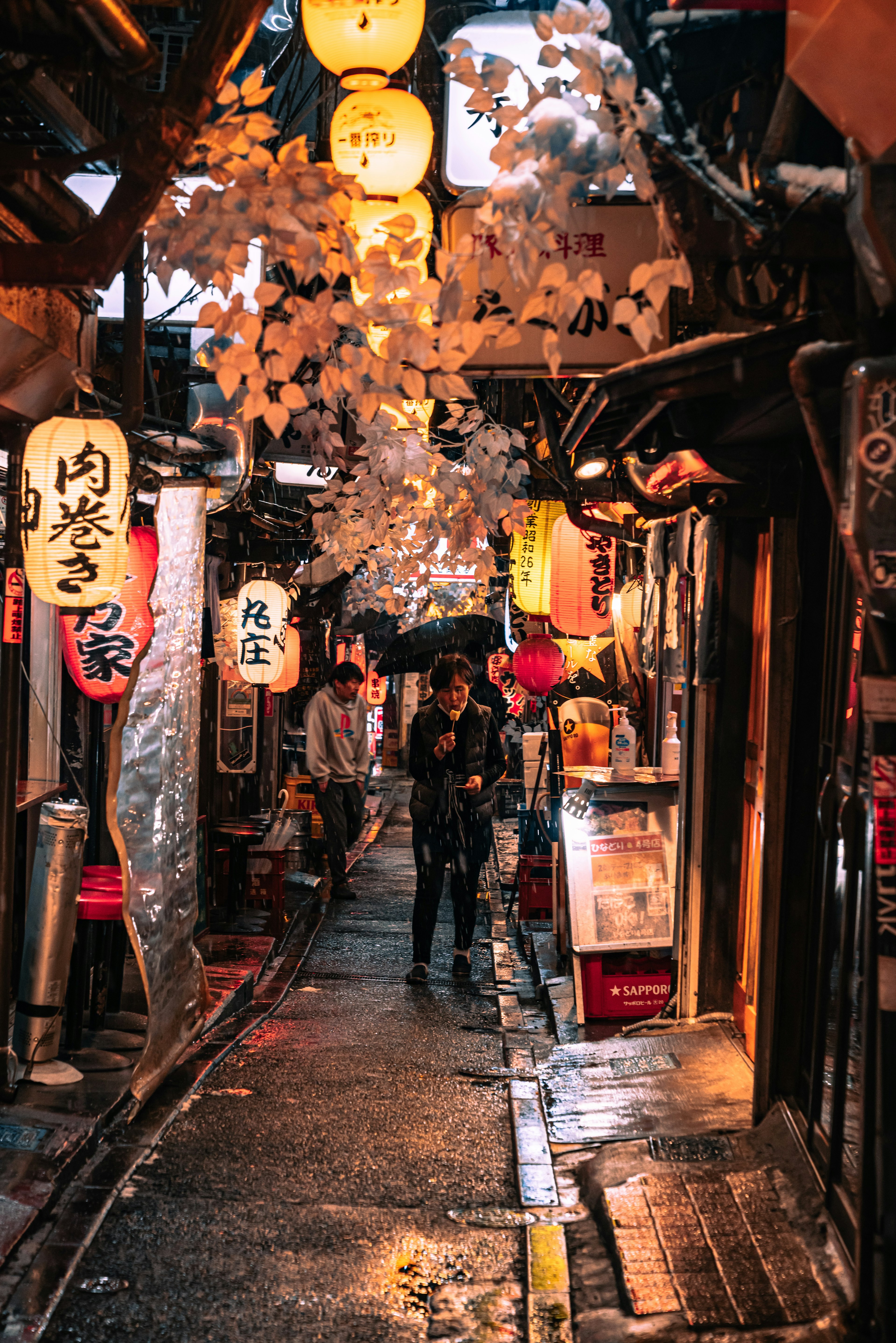 Callejón estrecho adornado con faroles y flores de cerezo por la noche