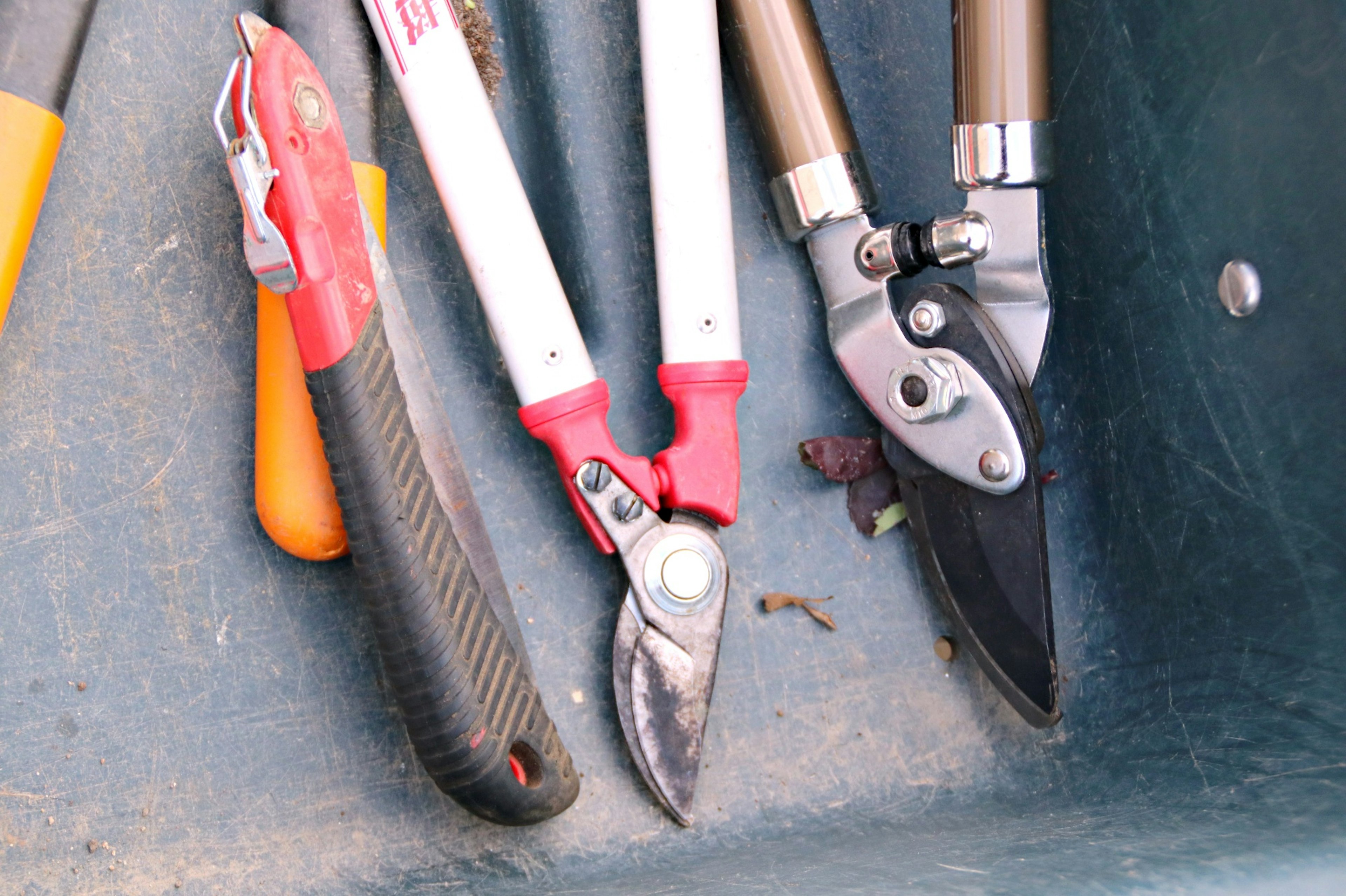 A close-up of various pruning shears and gardening tools arranged on a surface