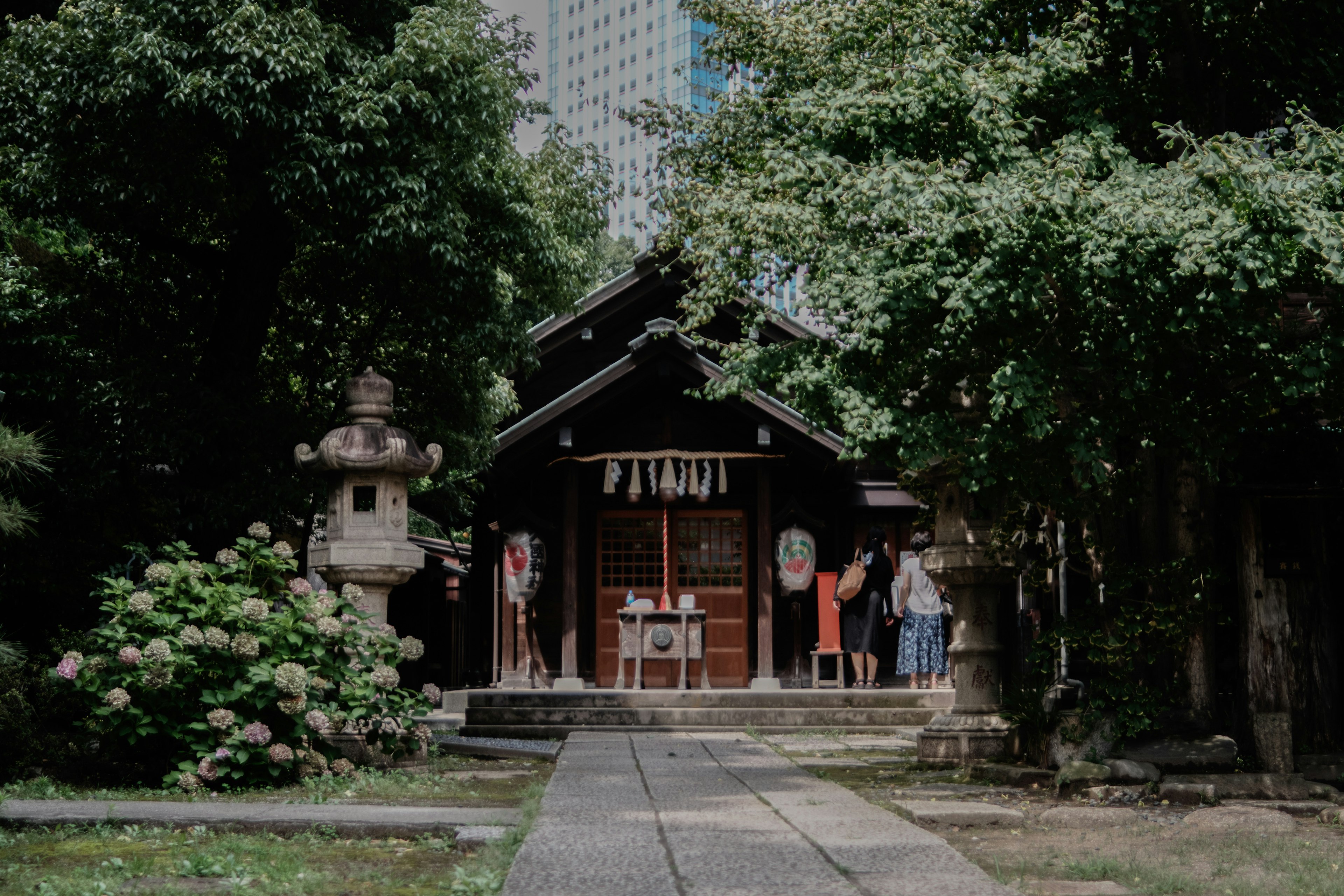 緑に囲まれた伝統的な日本の神社の入口で人々が集まっている