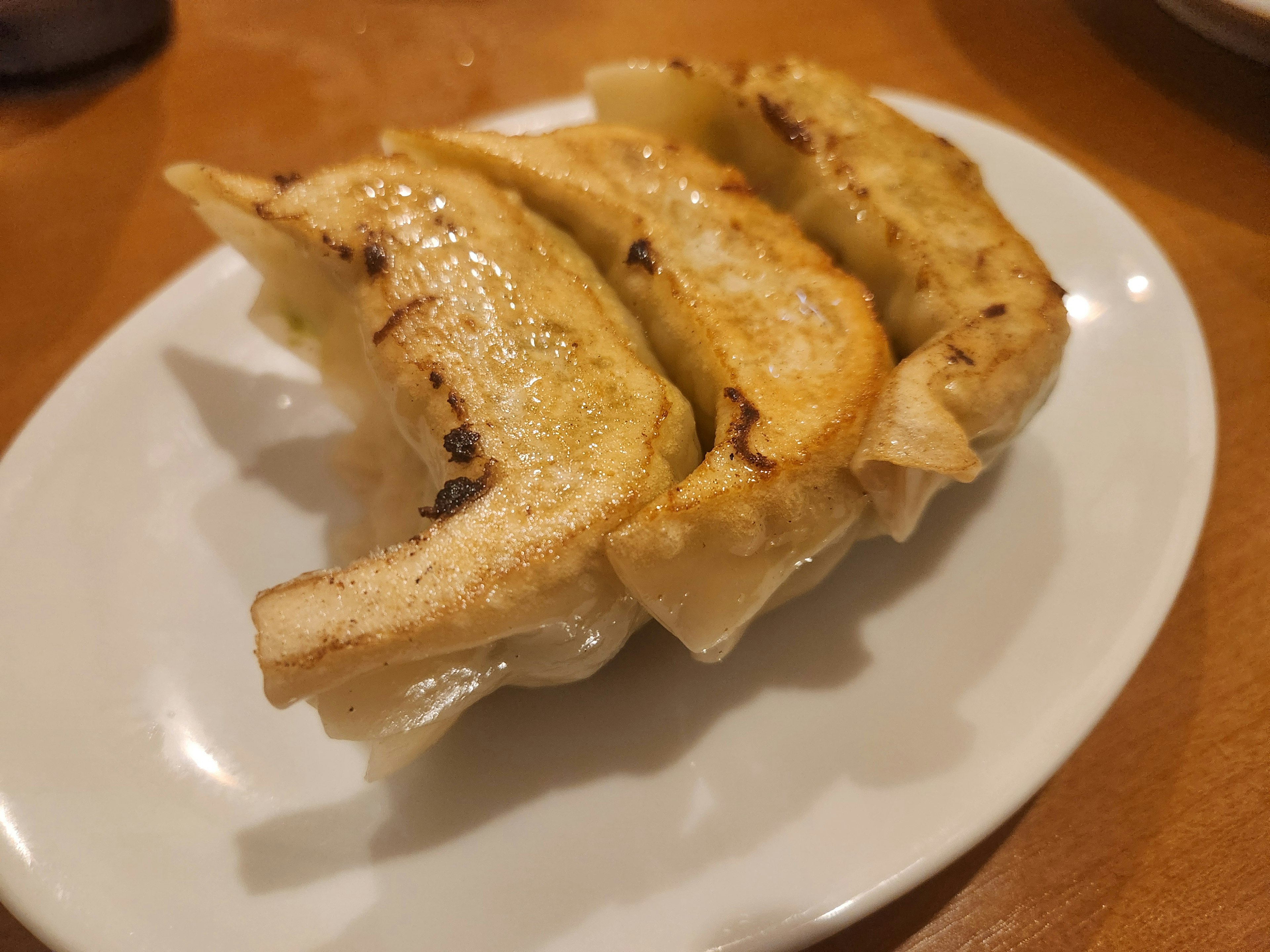 Gyoza goreng disajikan di atas piring putih