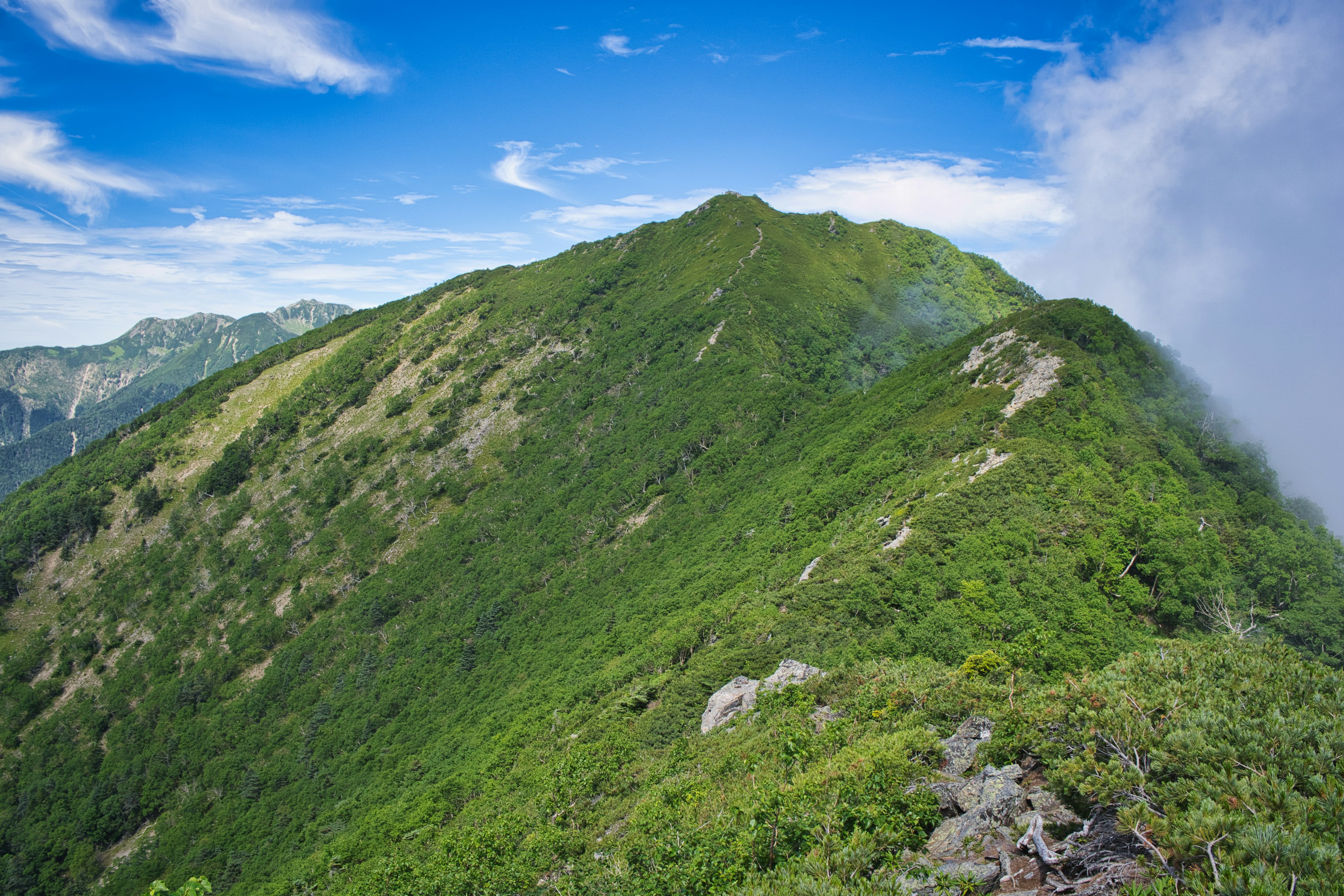 Grüne Berghanglandschaft unter blauem Himmel