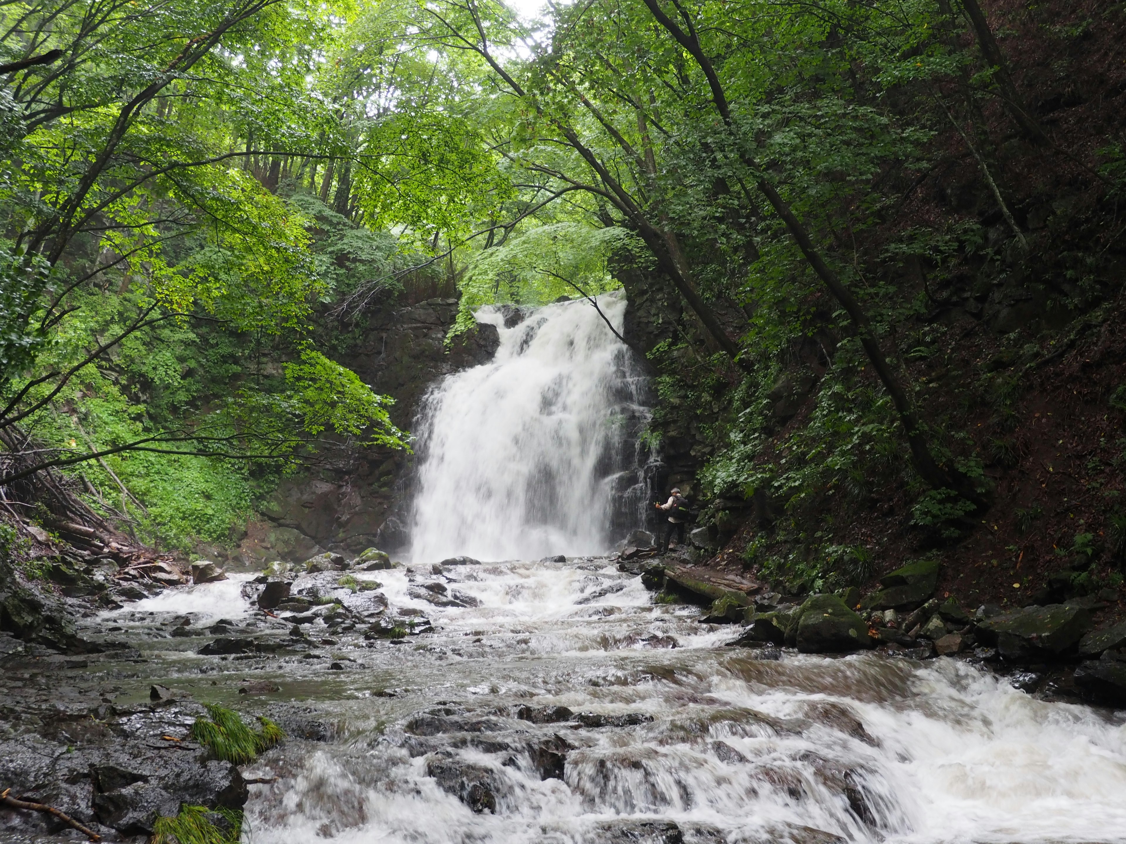 Bella cascata circondata da alberi verdi