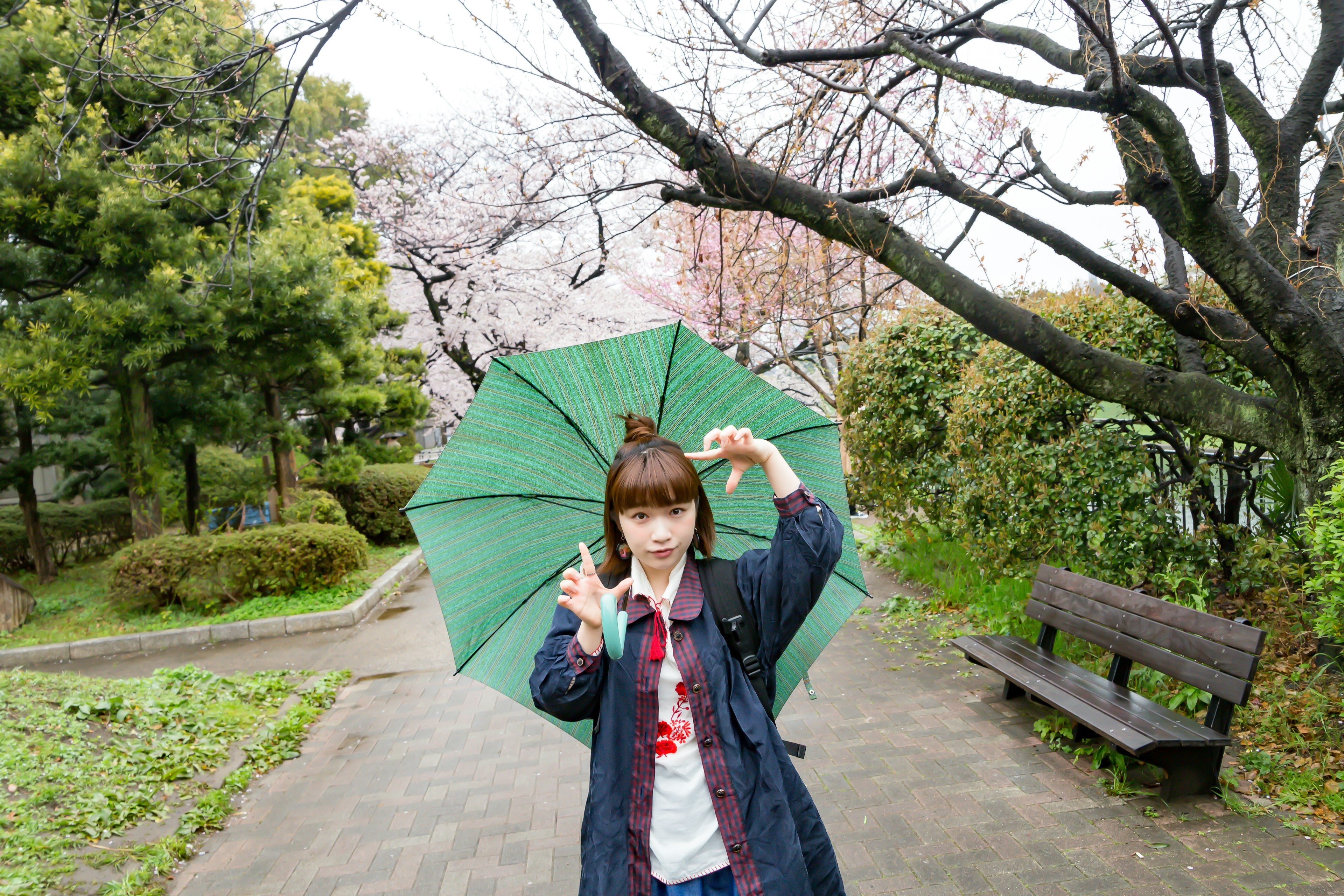 公園で緑の傘を持つ女の子 桜の木とベンチが背景