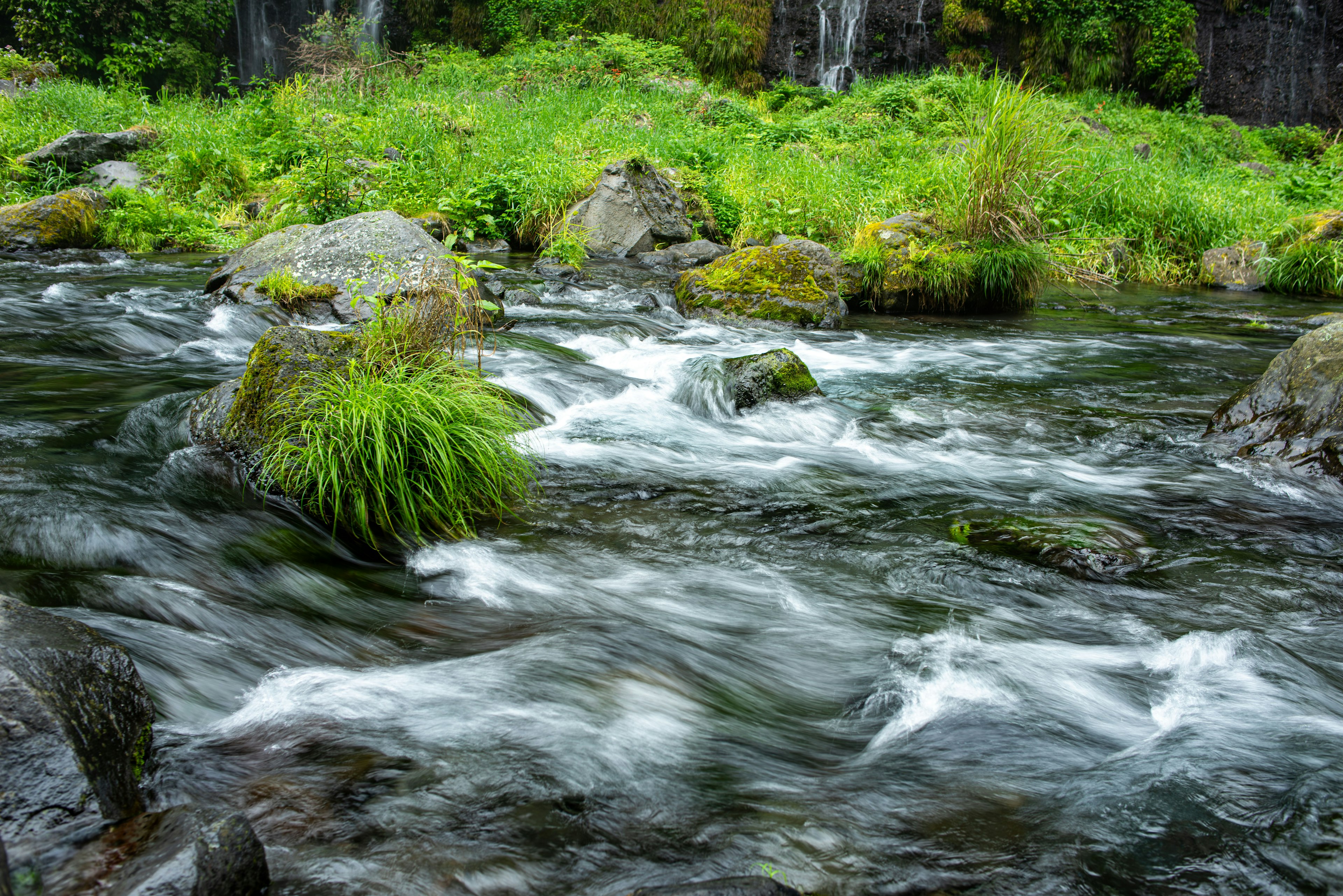 Pemandangan aliran sungai dengan air mengalir lembut dan rumput hijau