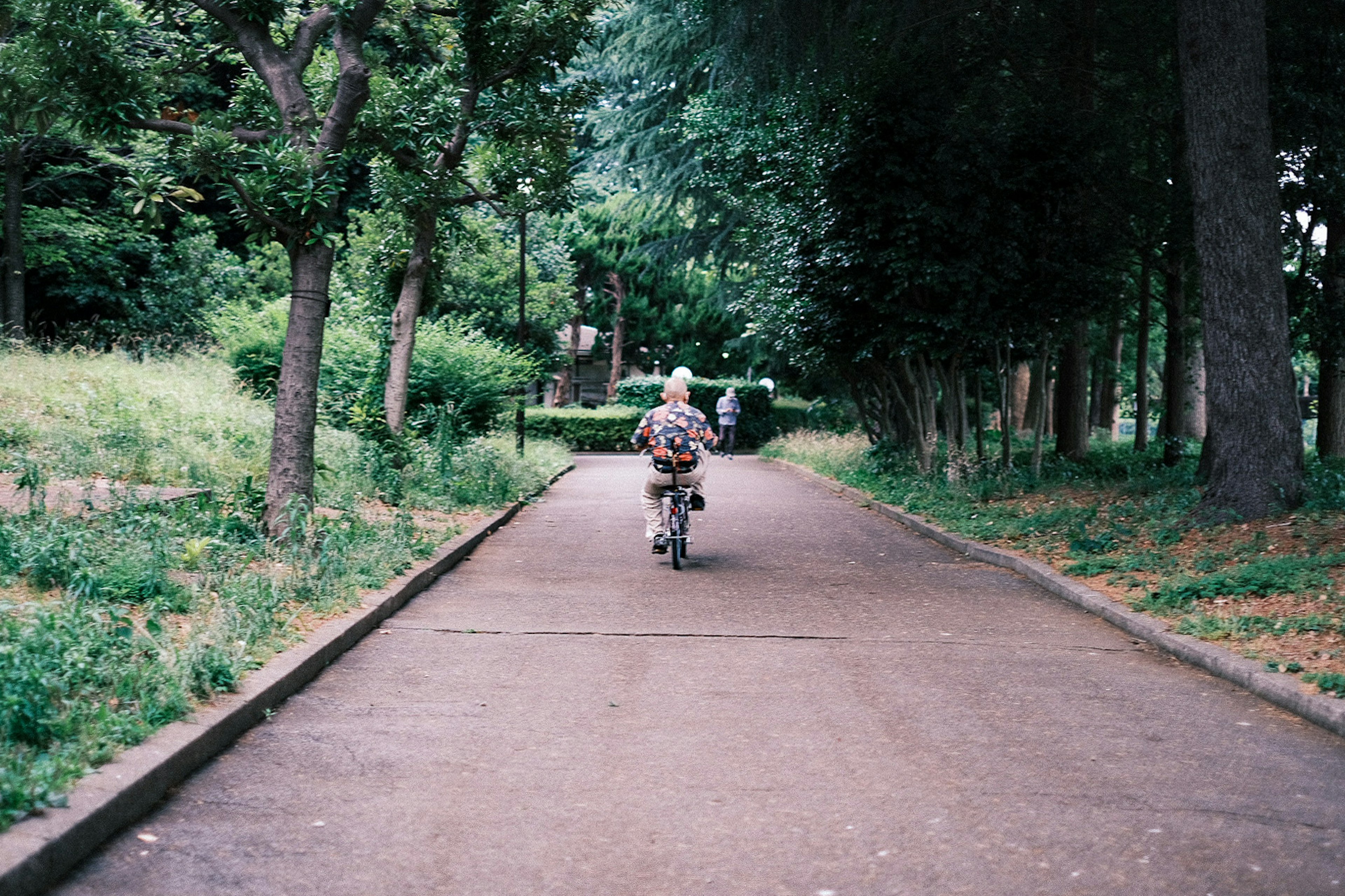 緑に囲まれた公園の小道を自転車で走る子供