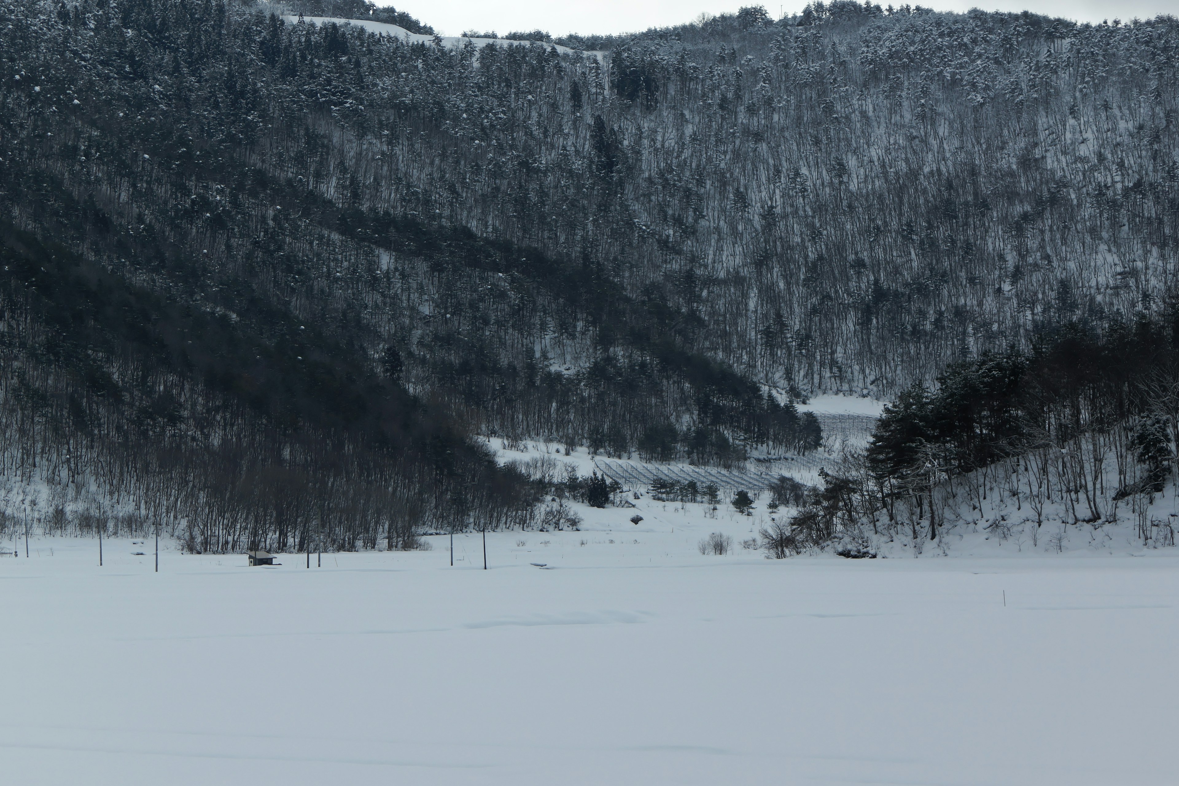 Blick auf einen ruhigen See umgeben von schneebedeckten Bergen