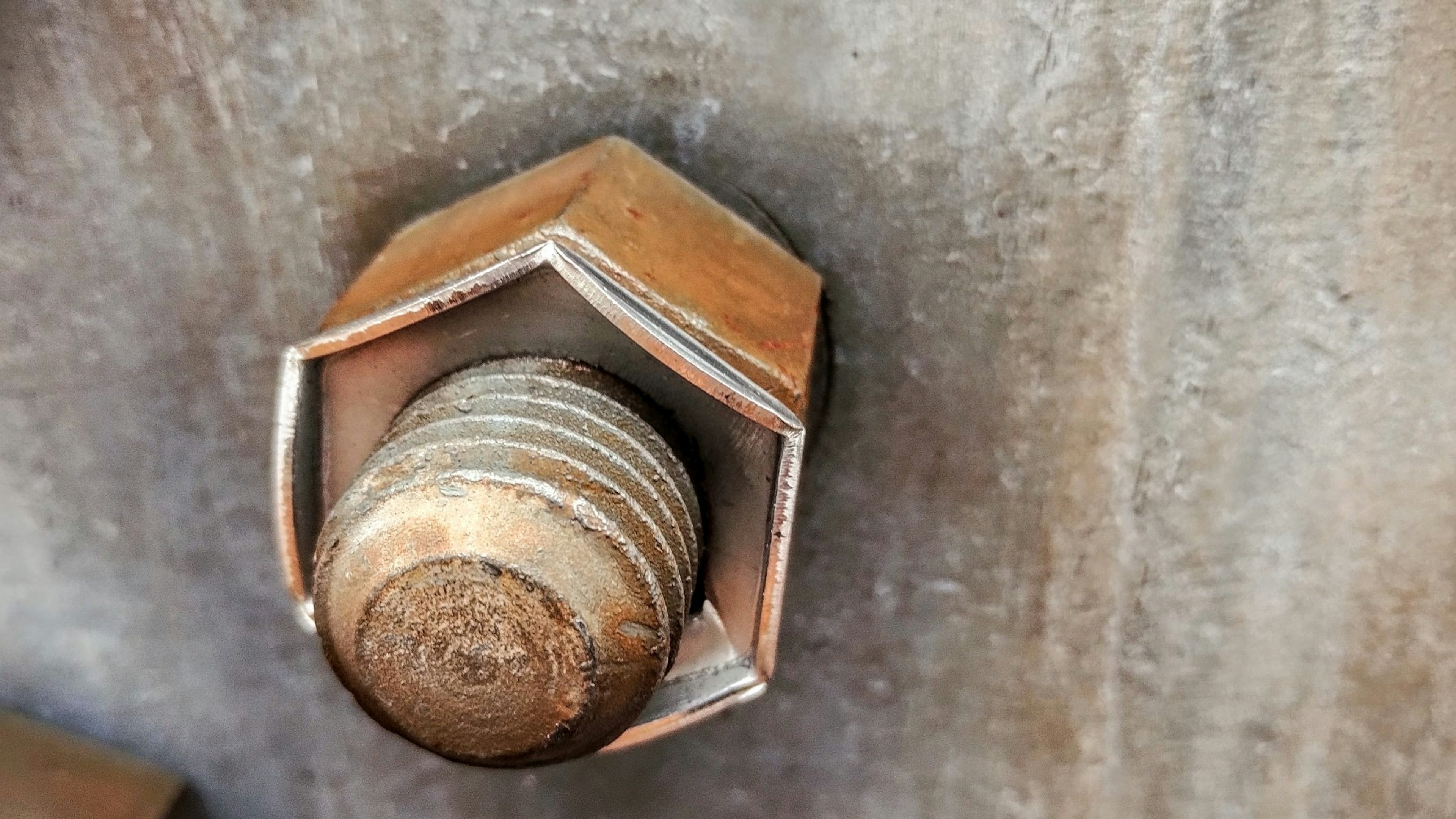 Primer plano de un tornillo de metal fijado a una pared