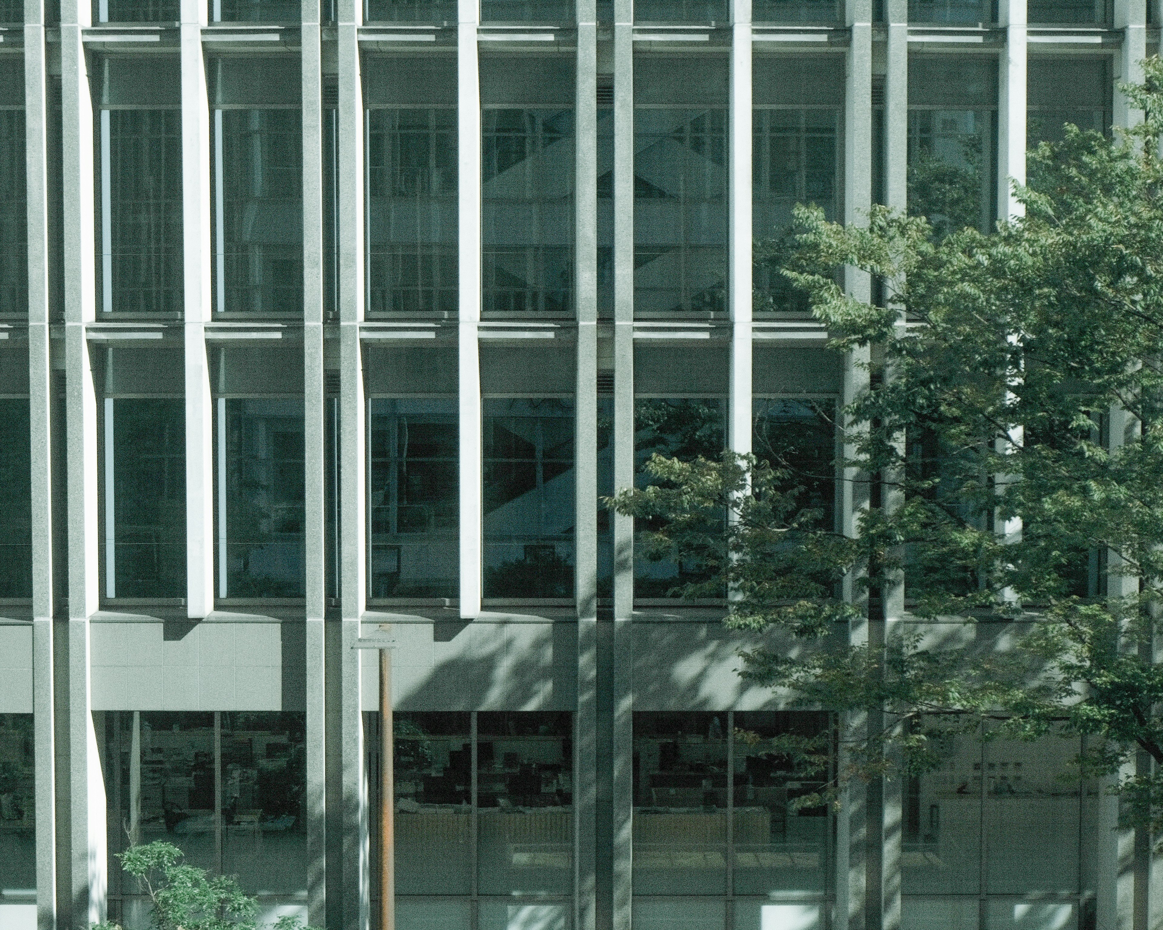 Modern office building facade with green trees