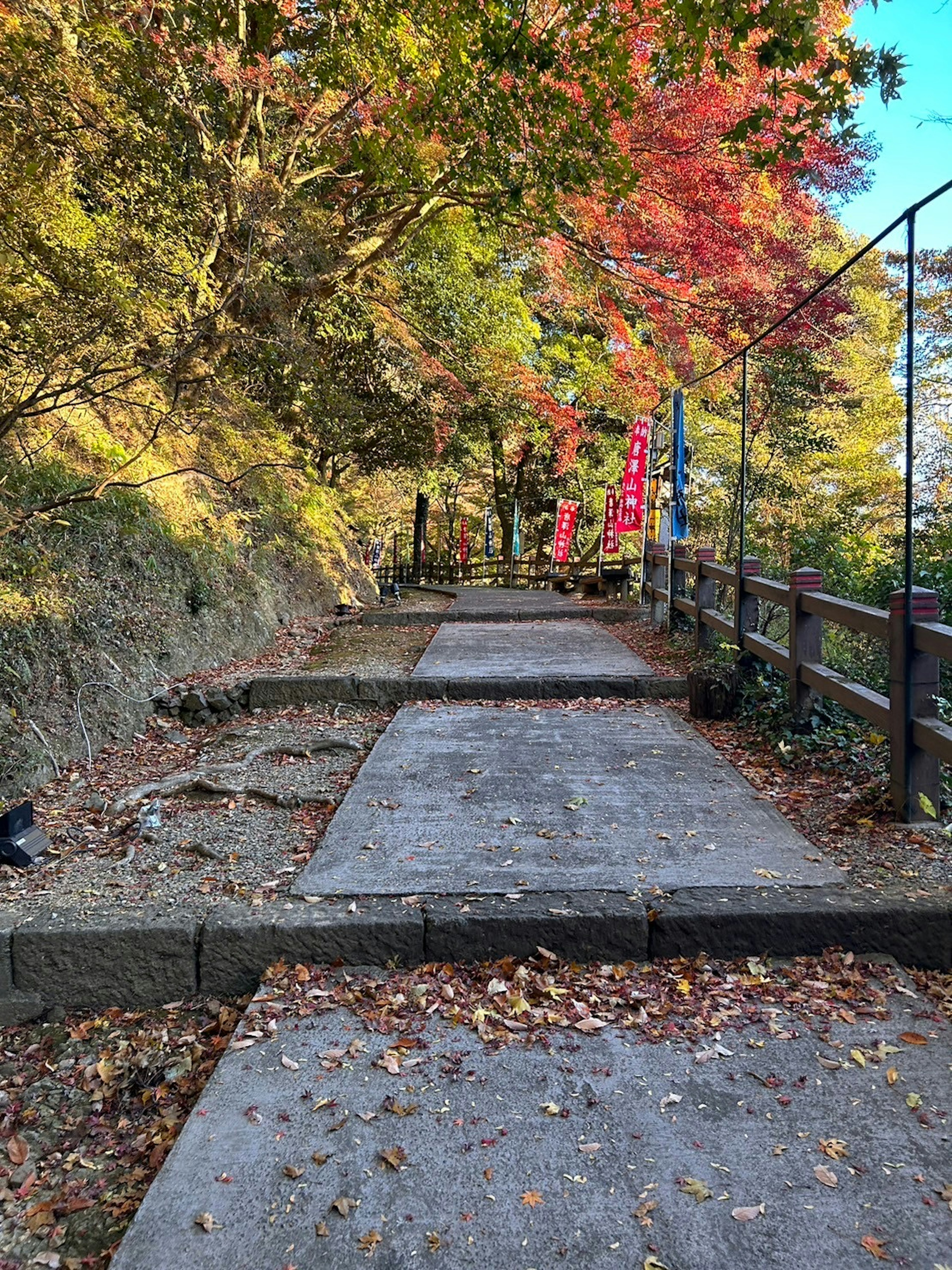 秋の紅葉が美しい舗装された小道とフェンス