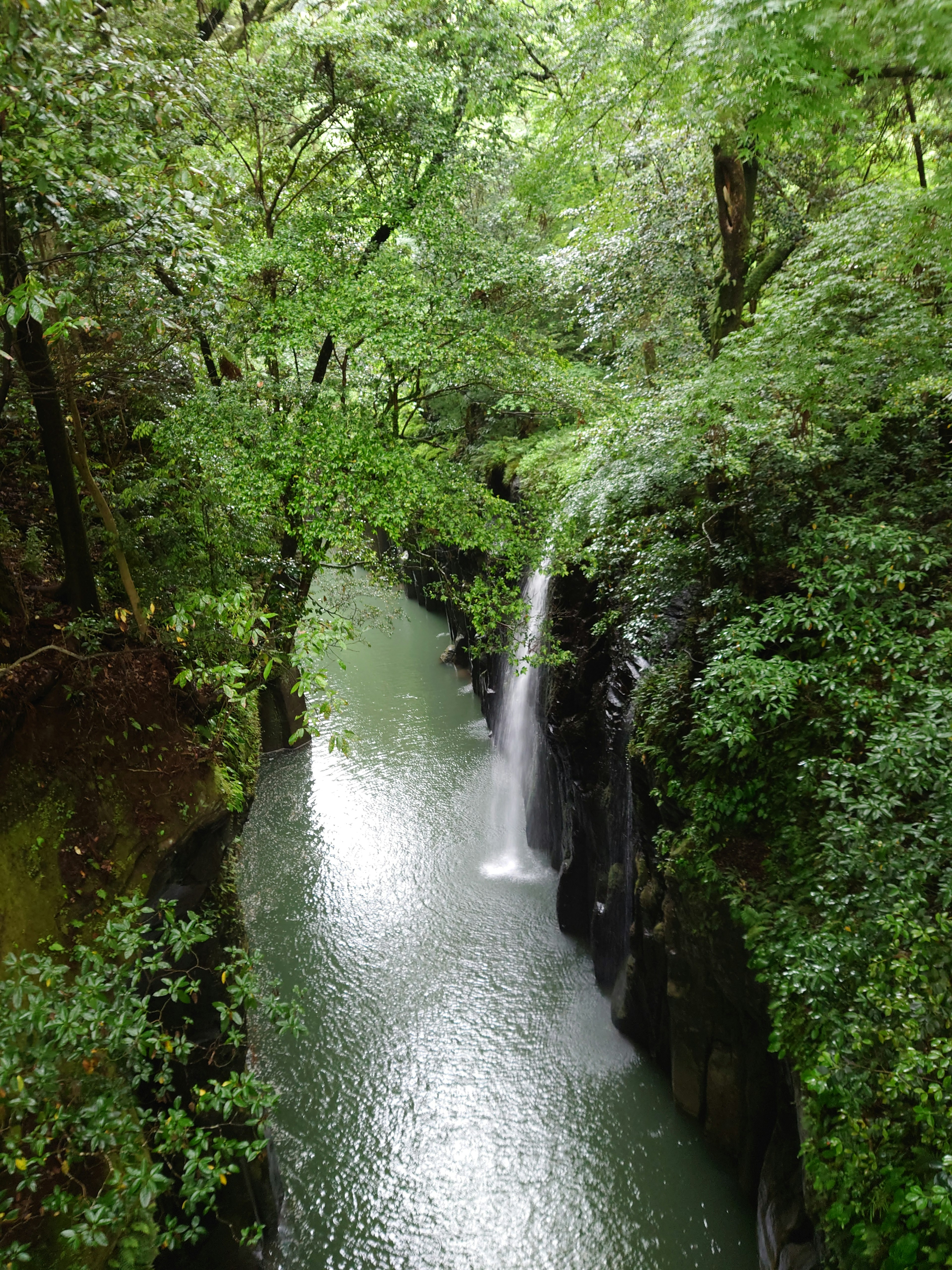 Une cascade paisible se déversant dans une rivière calme entourée d'arbres verts luxuriants