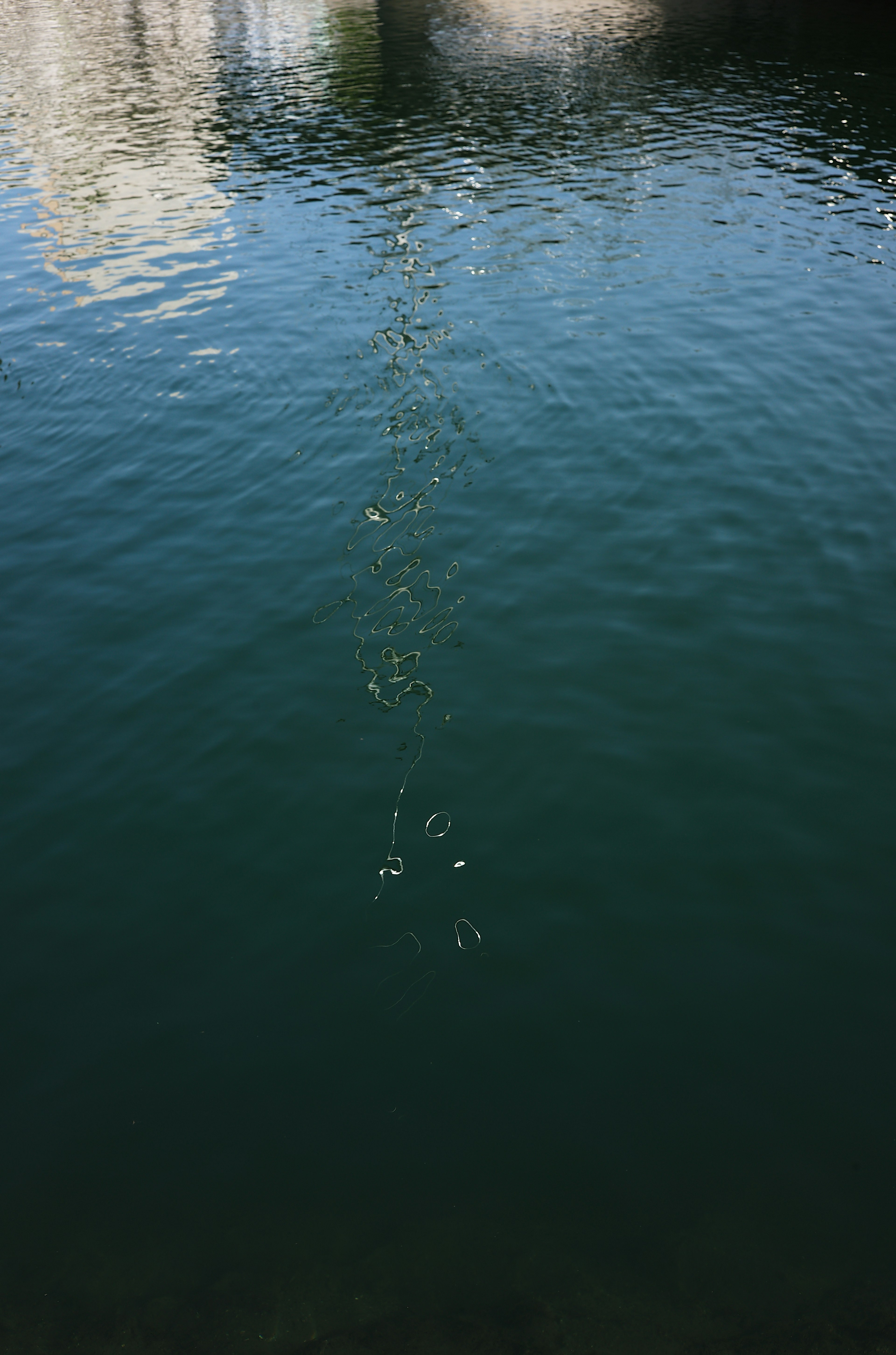 Bubbles rising in water with reflections