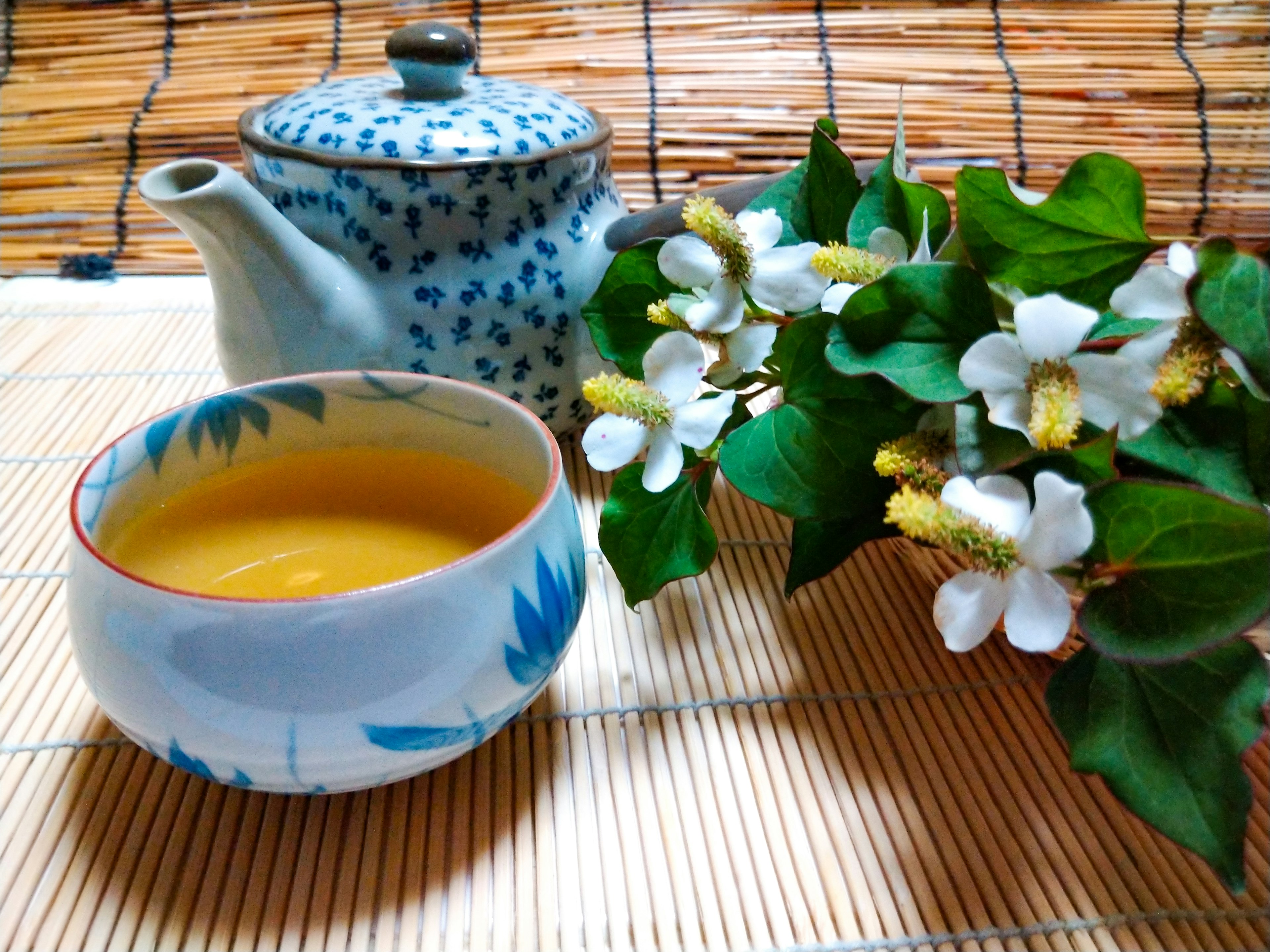 Image of a blue patterned teapot and a cup with yellow tea next to white flowers and green leaves