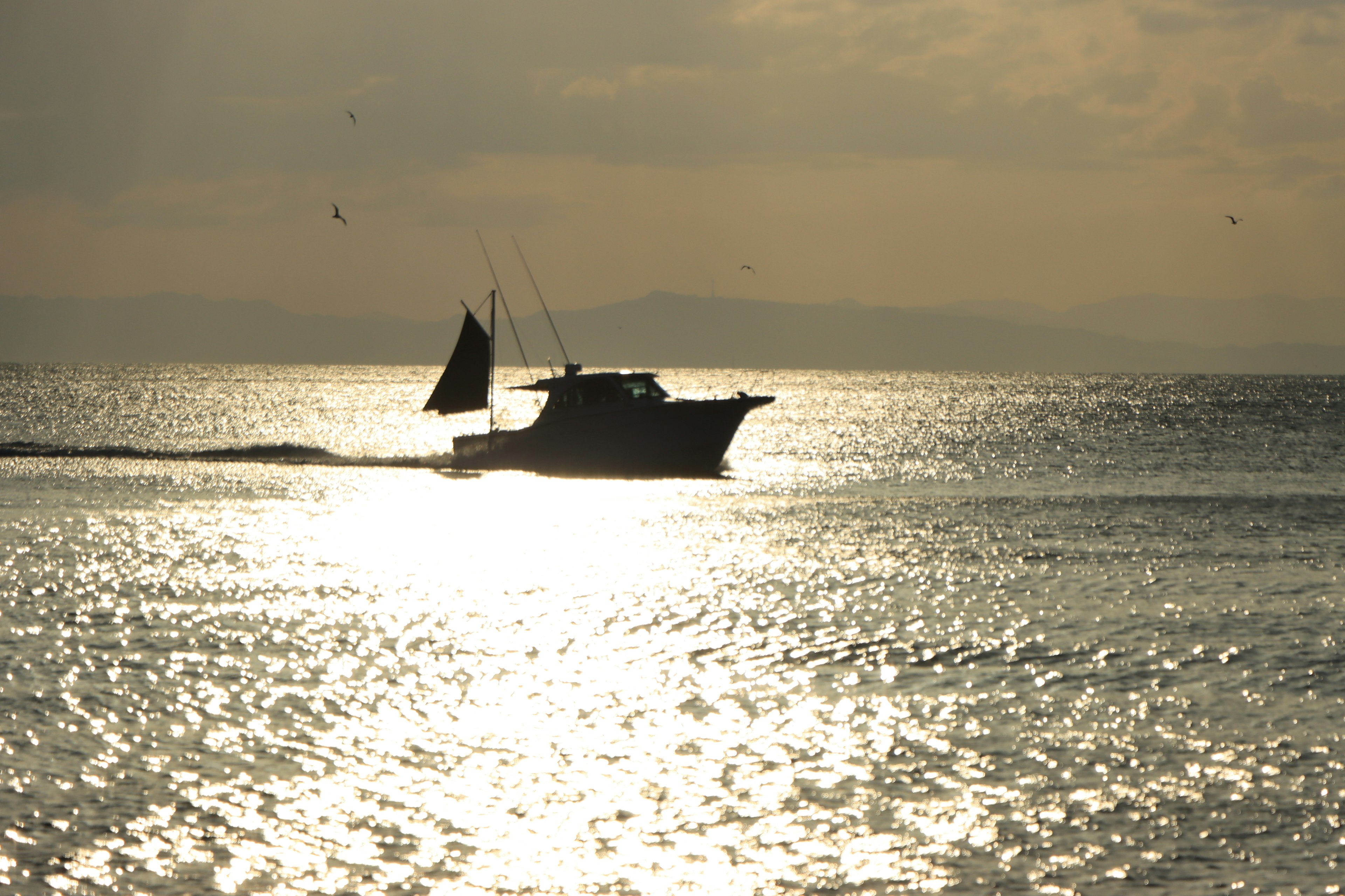 Silhouette di una barca che naviga sul mare al tramonto