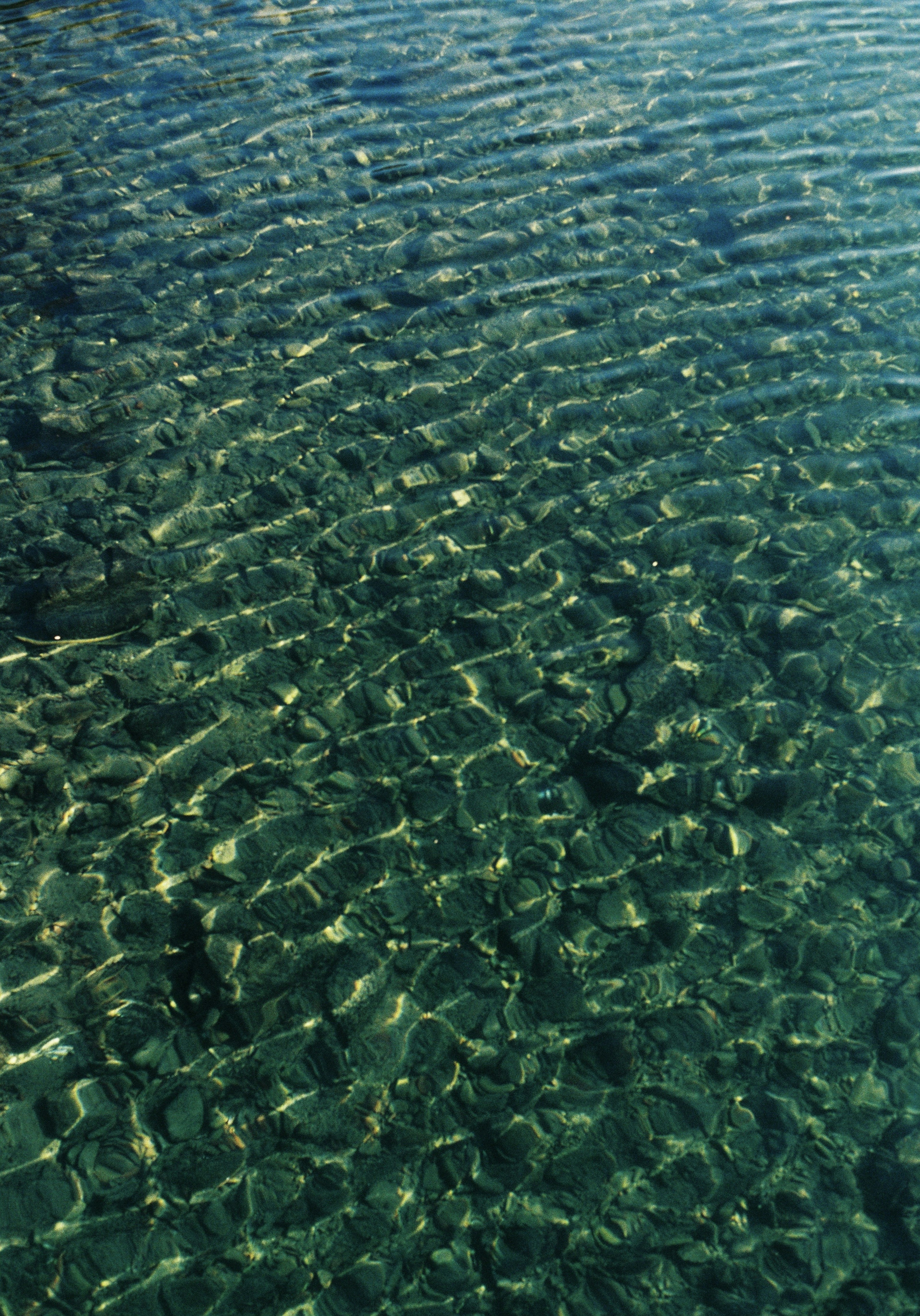 Rippling patterns on a clear water surface