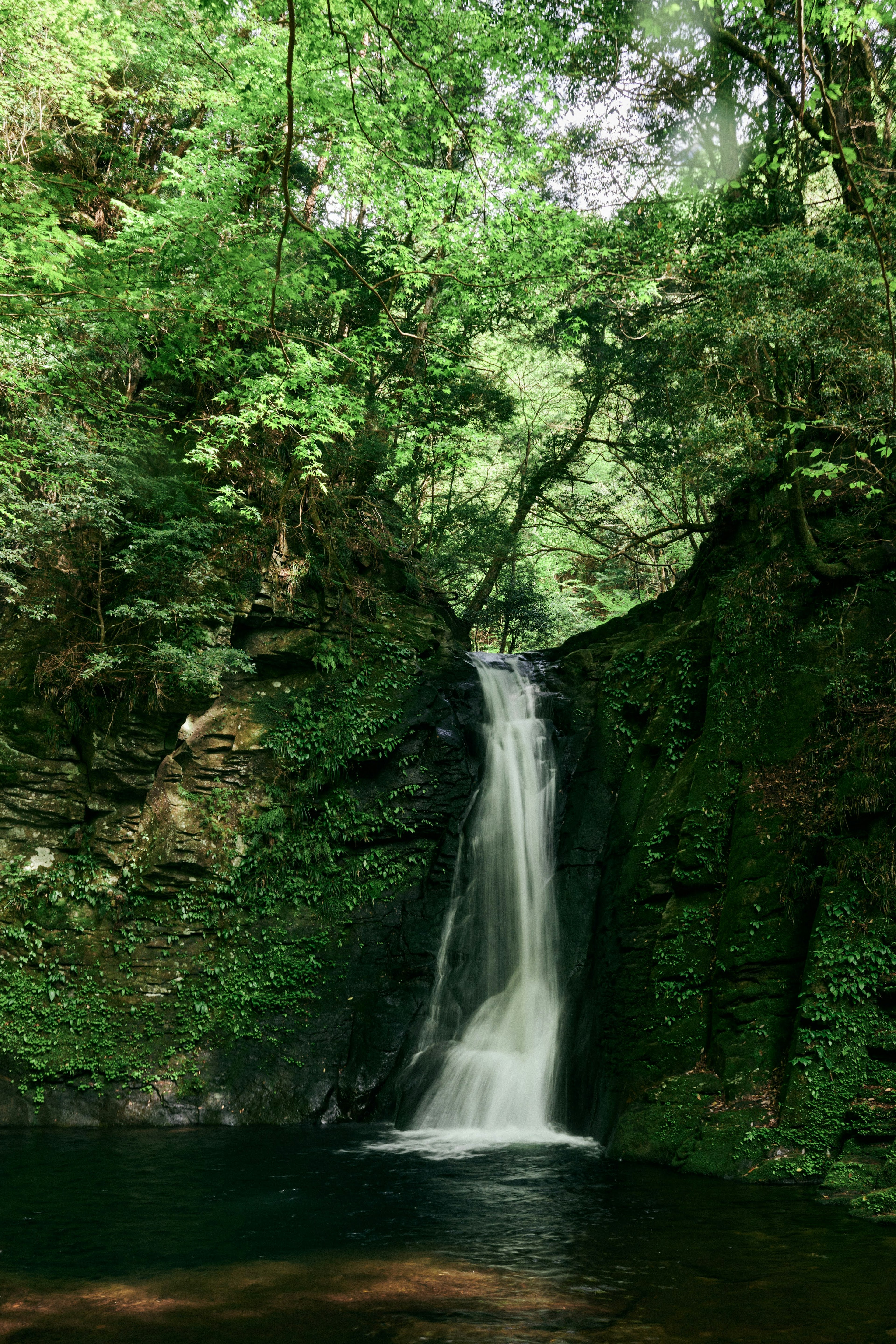 Pemandangan alam yang indah dengan air terjun dikelilingi oleh pepohonan hijau lebat