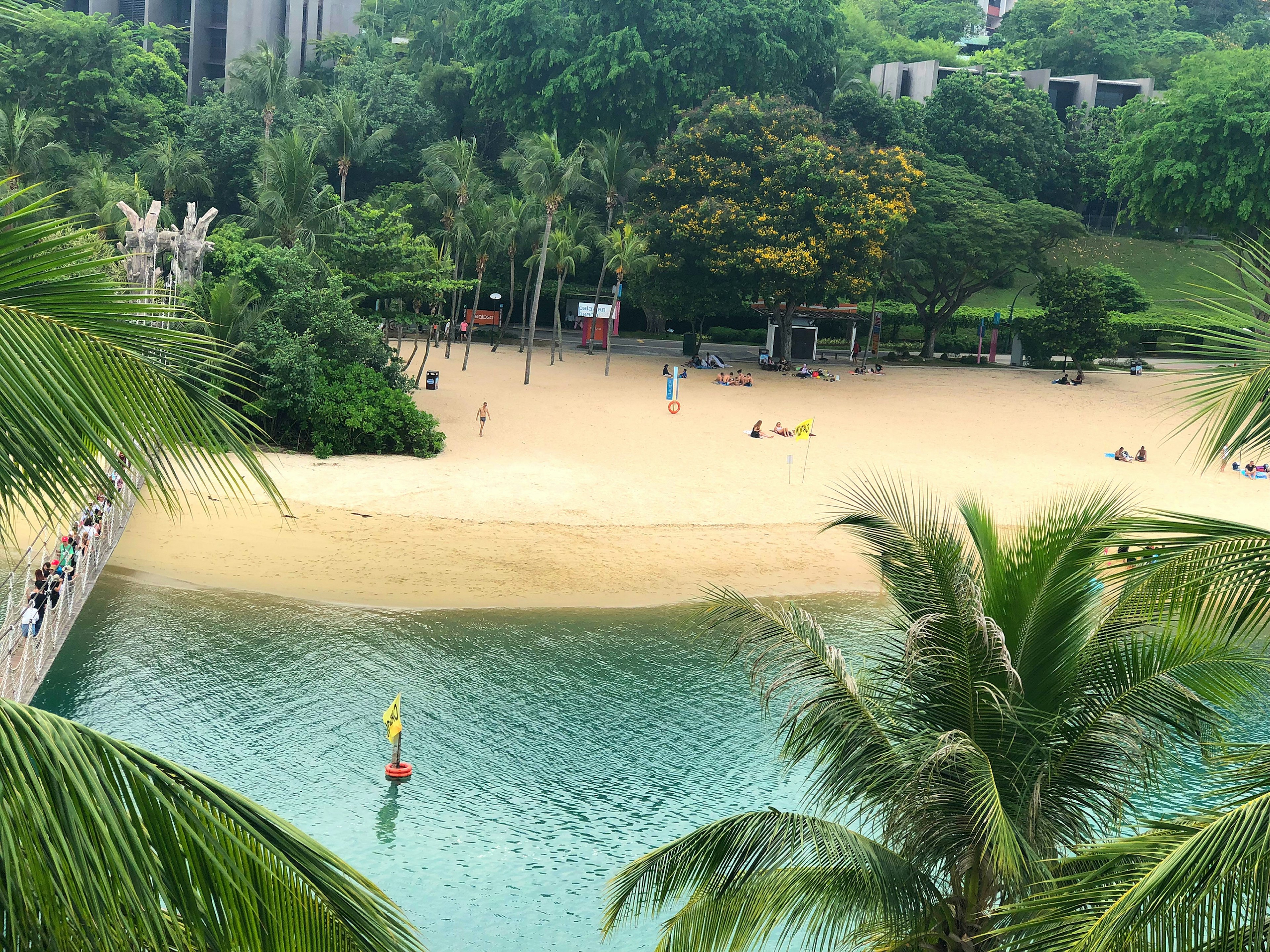 ทิวทัศน์ของชายหาดที่มีพืชพรรณเขียวขจีและน้ำใส