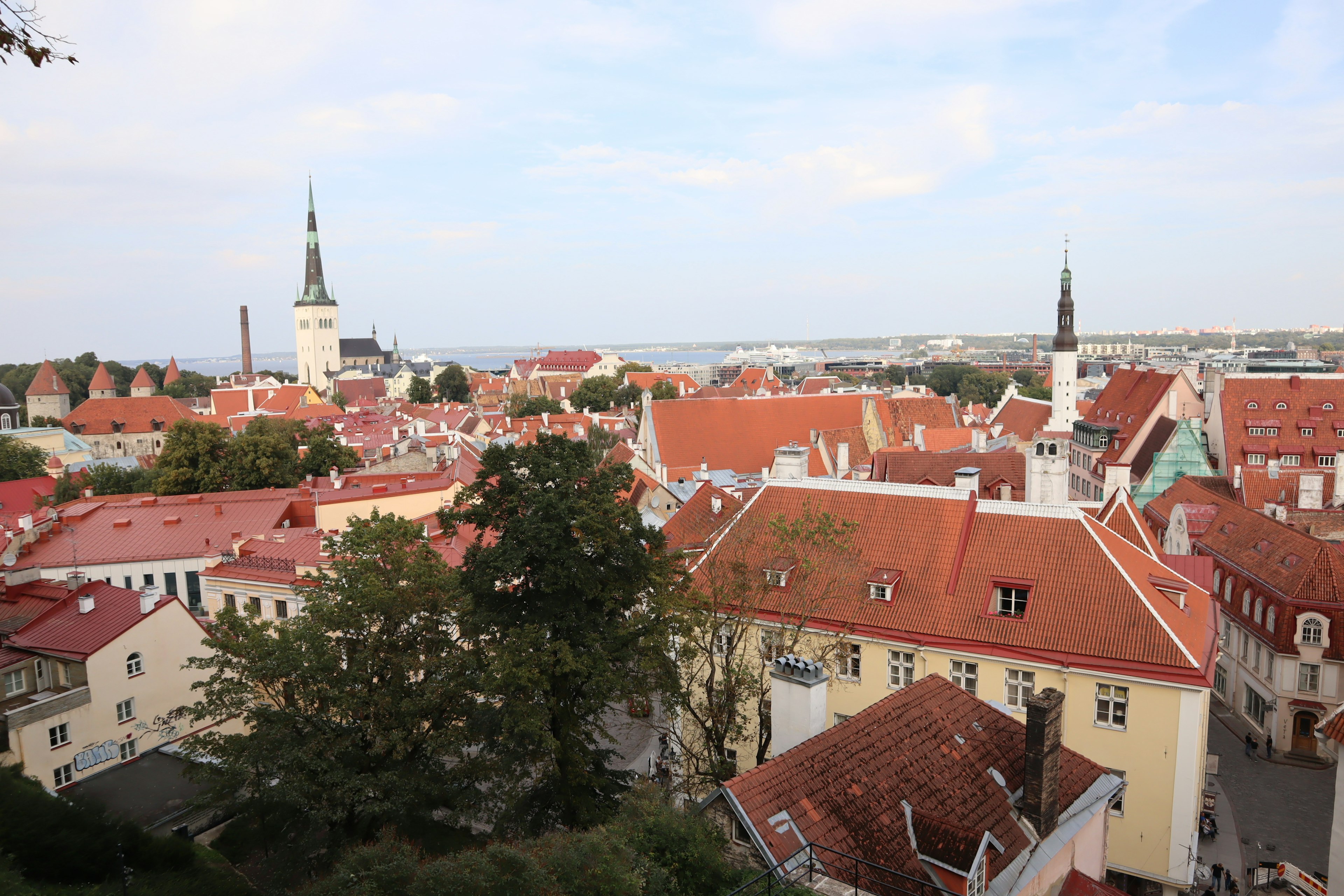 Pemandangan udara kota tua Tallinn dengan atap merah dan menara gereja