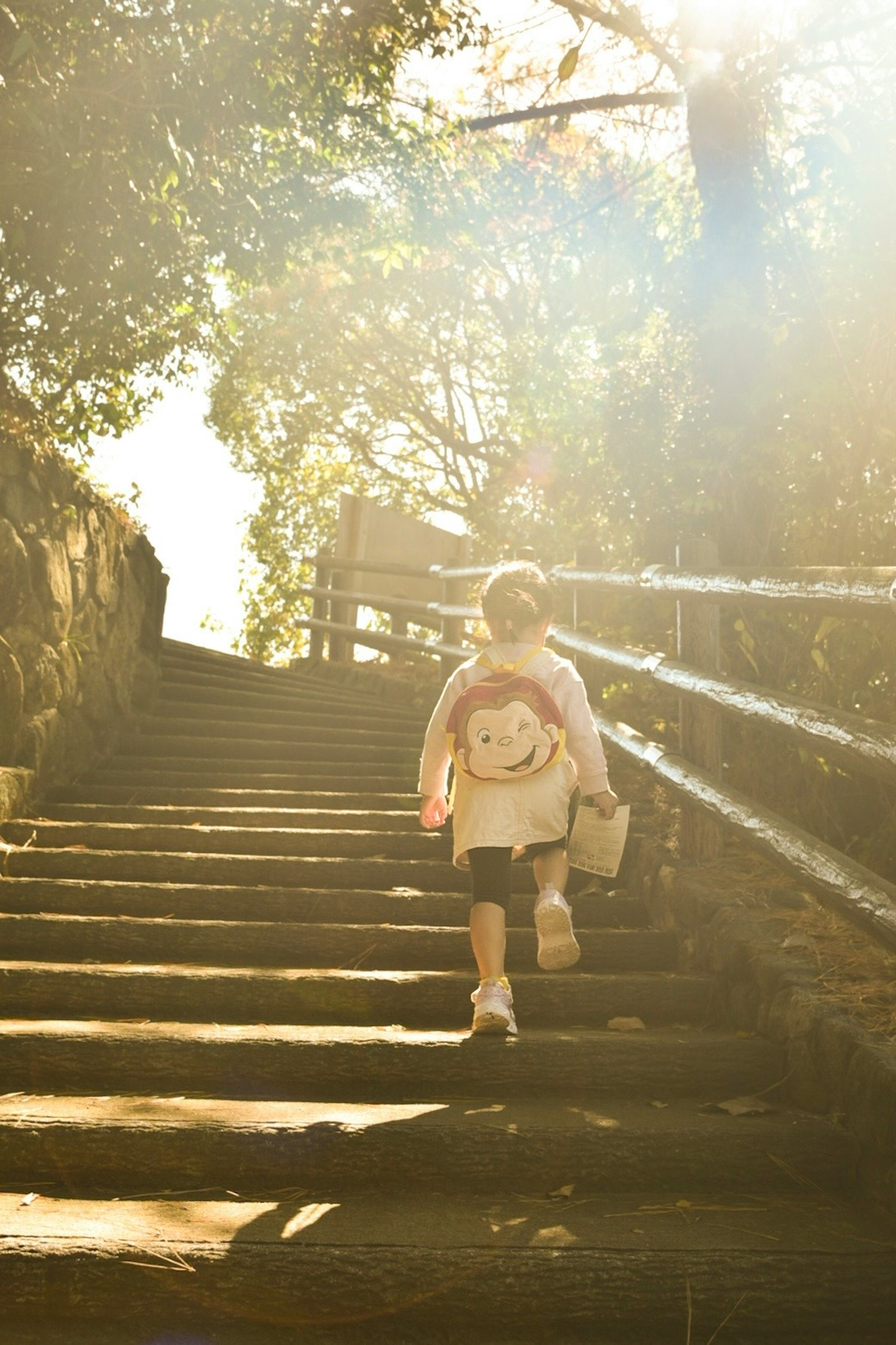 Niño subiendo escaleras con luz solar y vegetación de fondo