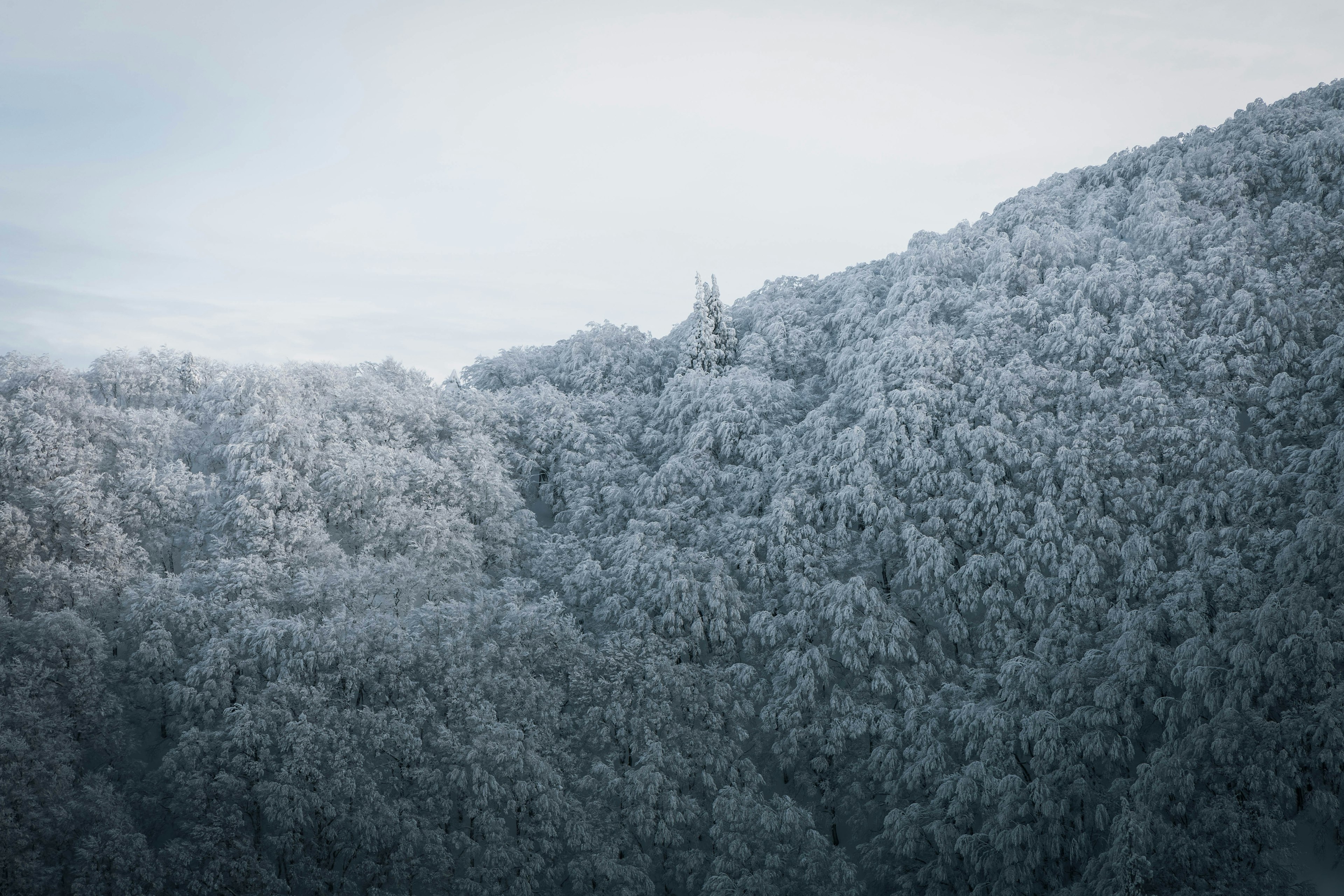 雪に覆われた山の風景