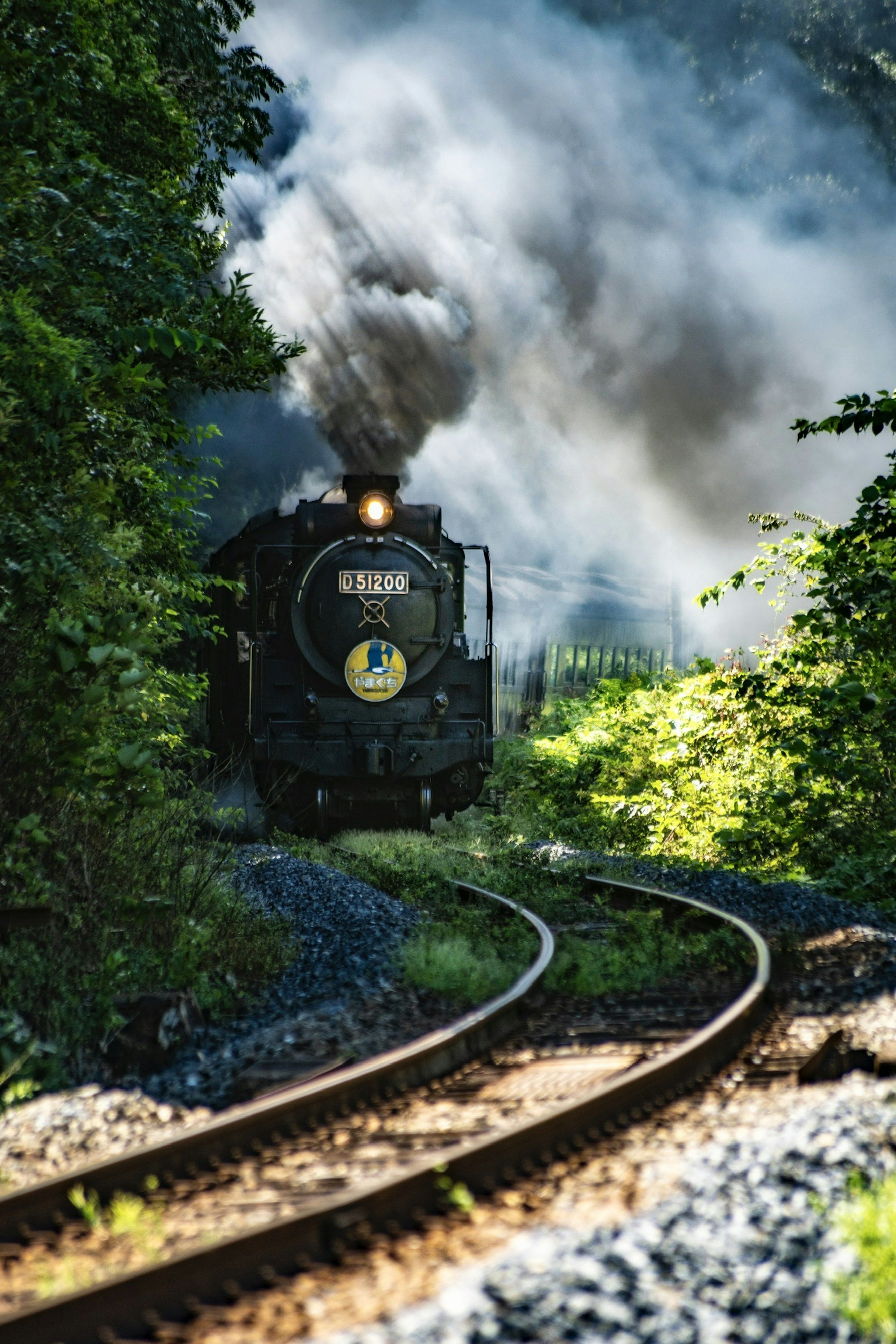 Steam locomotive traveling on a winding track surrounded by greenery