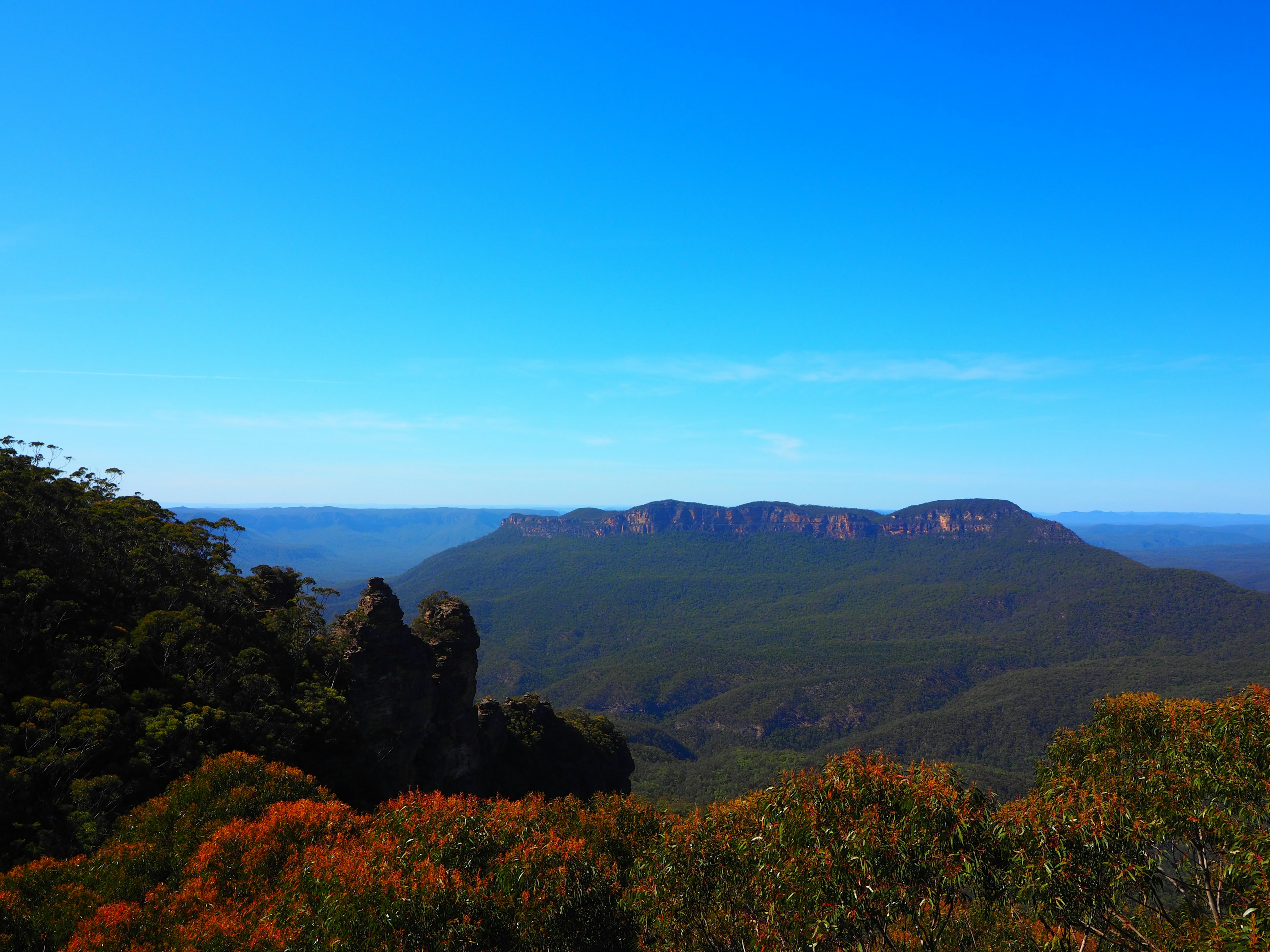 Paysage montagneux sous un ciel bleu avec un feuillage vert