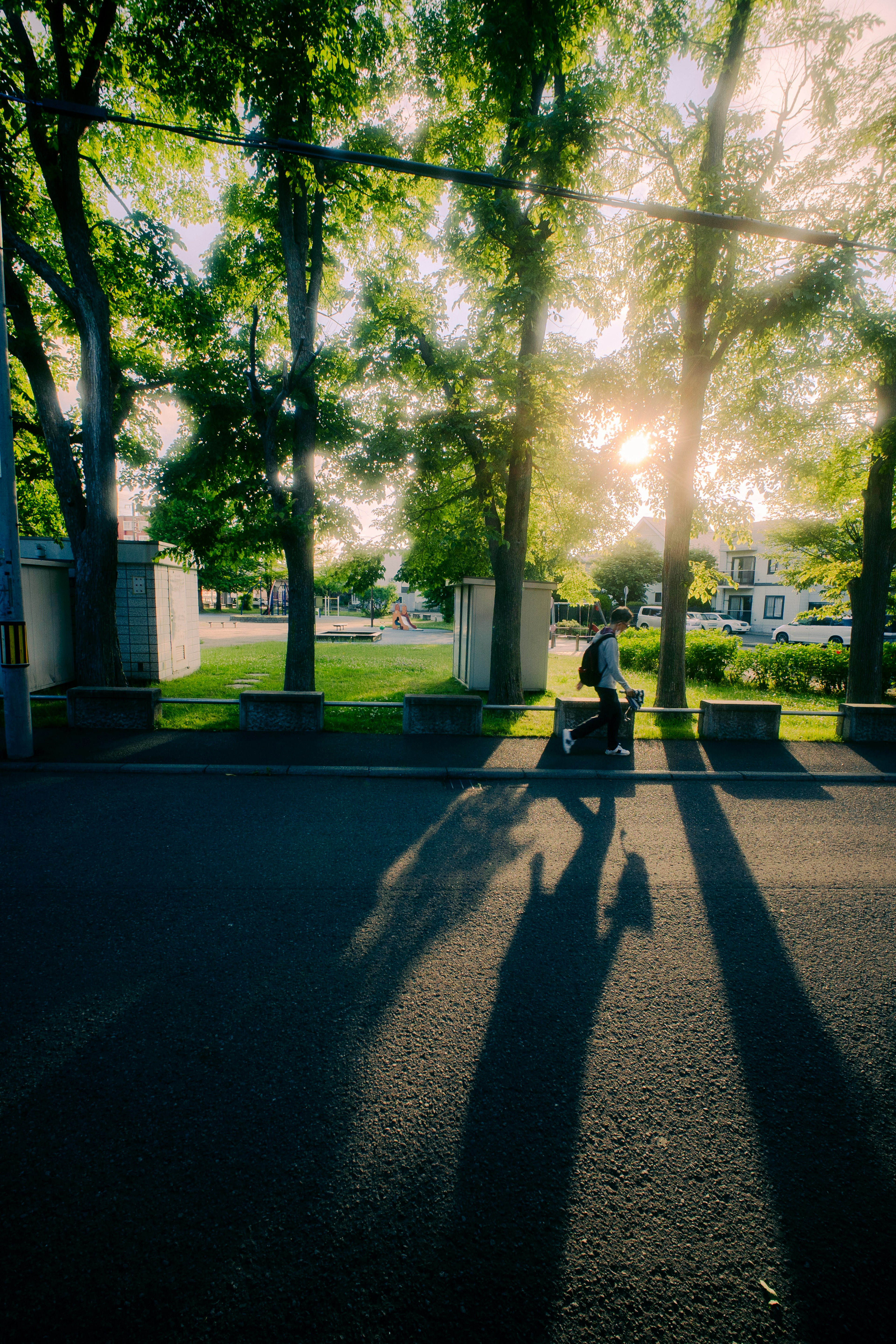 Eine Person sitzt auf einer Bank in einem ruhigen Park mit Schatten und Licht, das durch die Bäume fällt