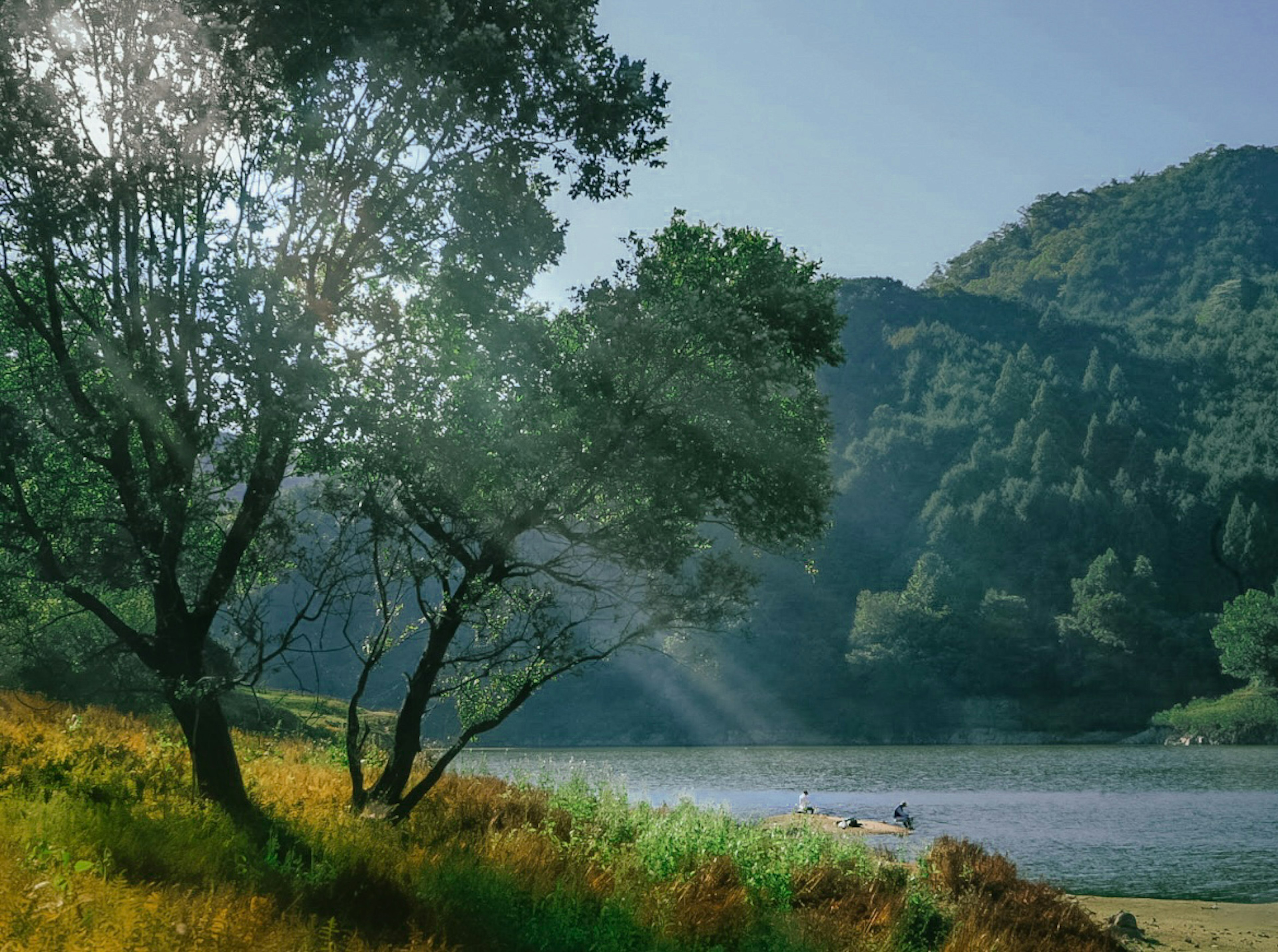 Danau tenang dengan bukit hijau subur Cahaya matahari menembus pepohonan