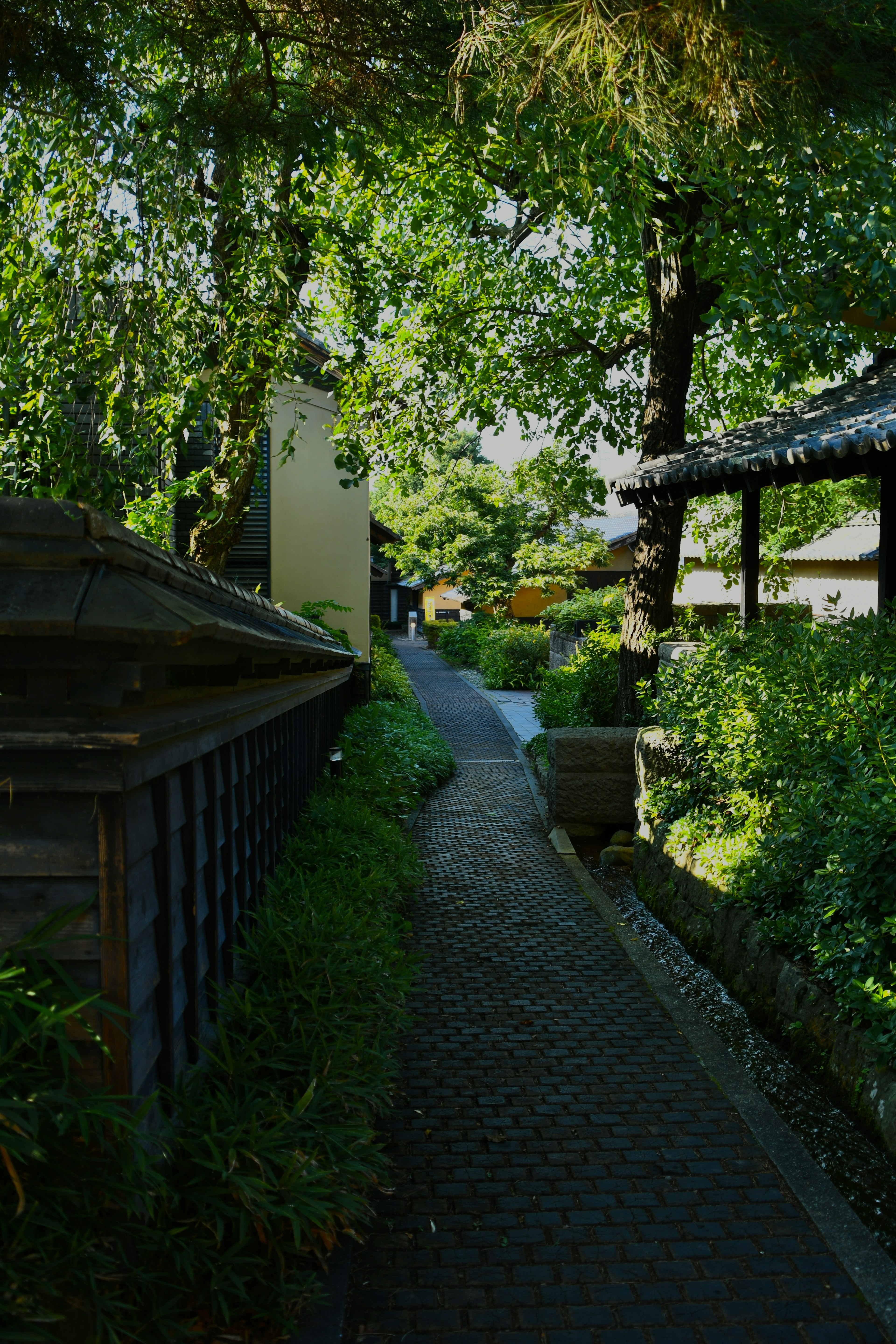 Un chemin serein entouré de verdure et de bâtiments traditionnels