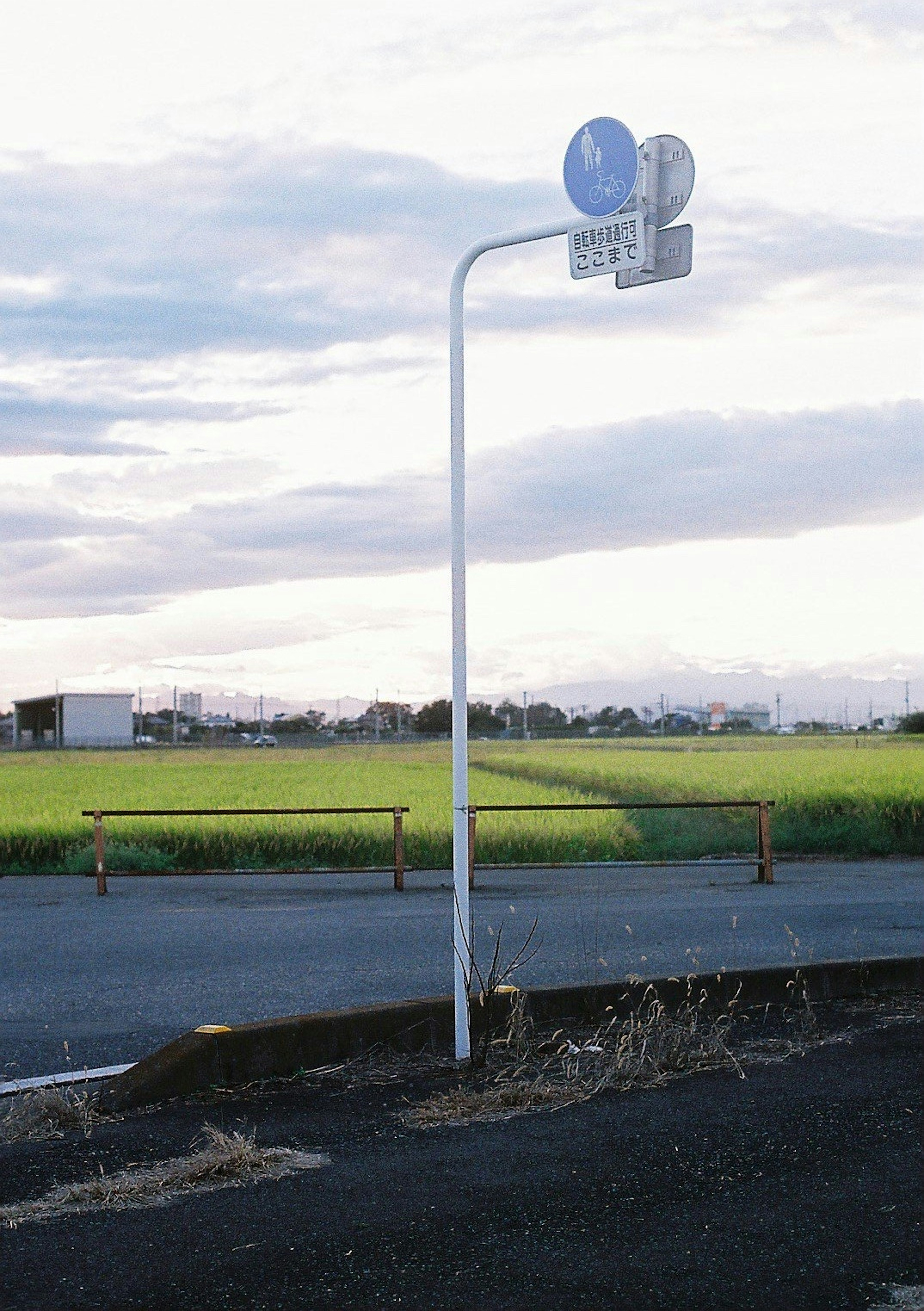 青い信号機と白いポールがある田舎の風景